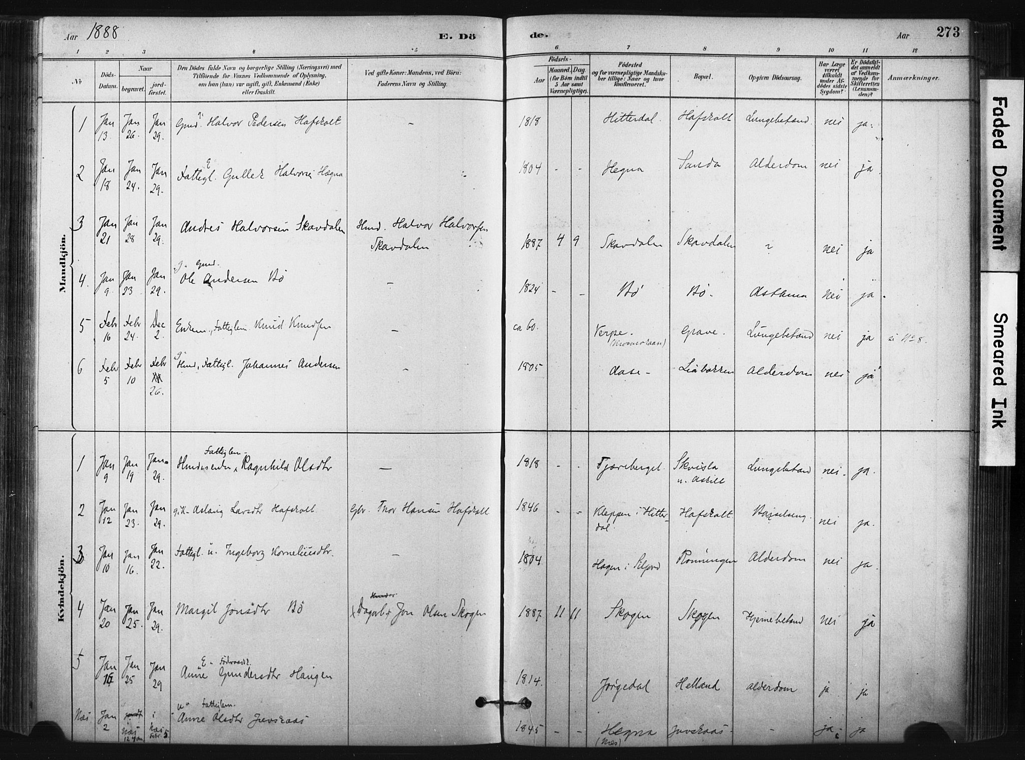 Bø kirkebøker, SAKO/A-257/F/Fa/L0010: Parish register (official) no. 10, 1880-1892, p. 273