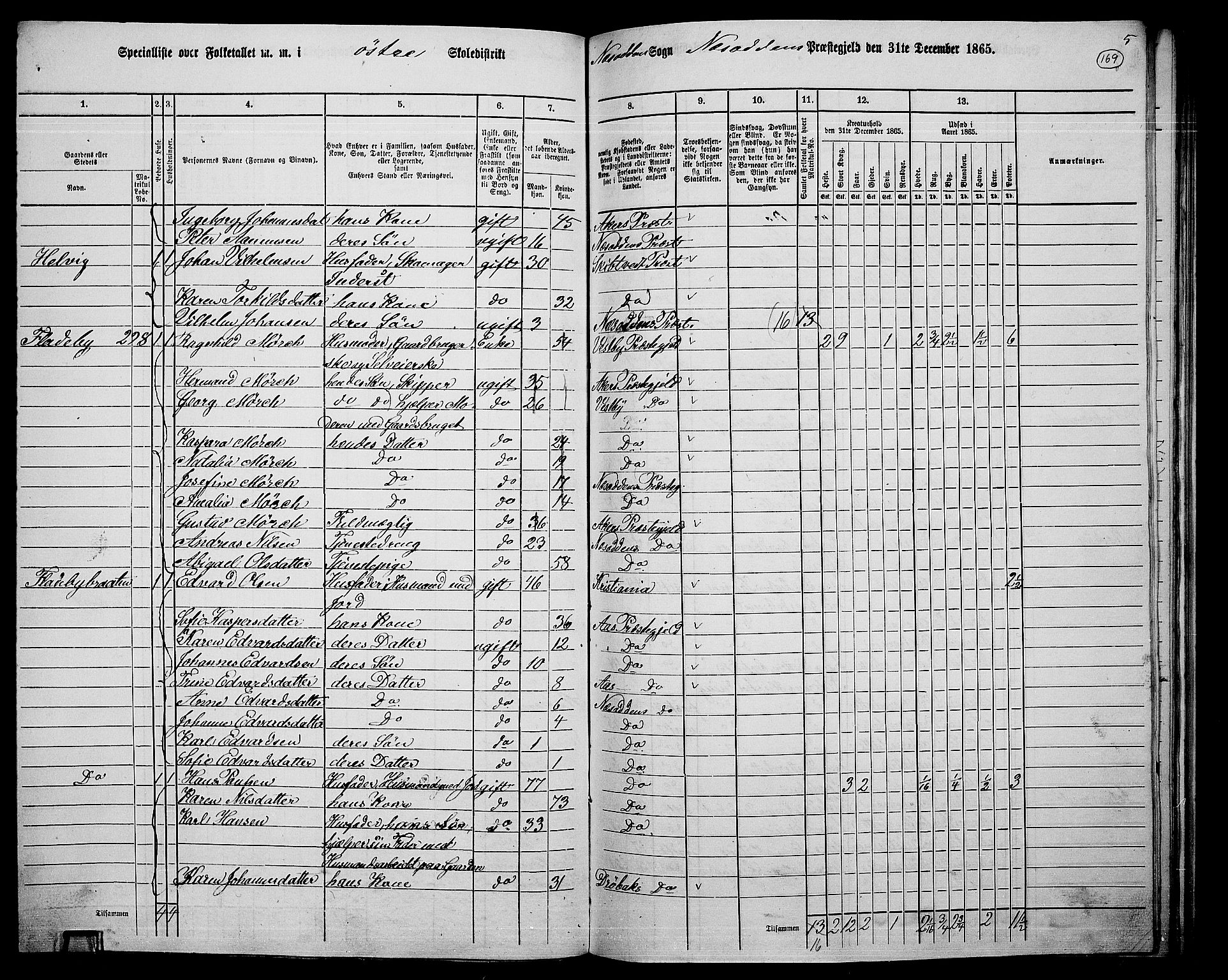 RA, 1865 census for Nesodden, 1865, p. 11