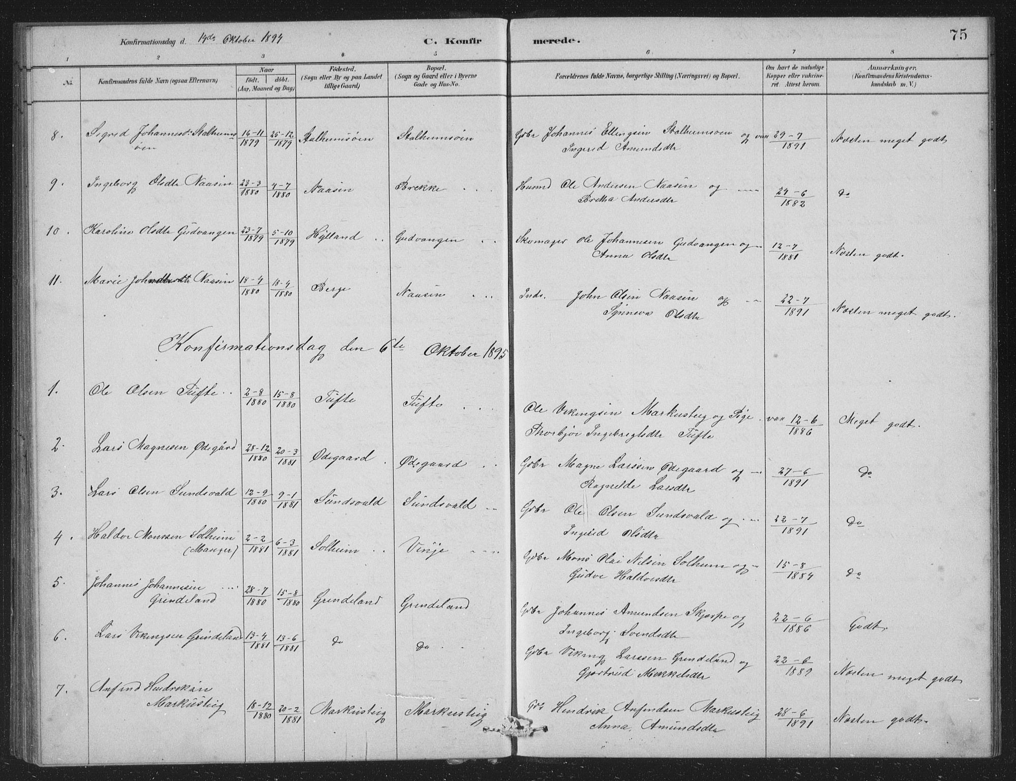 Vossestrand Sokneprestembete, AV/SAB-A-79101/H/Hab: Parish register (copy) no. A 2, 1880-1902, p. 75