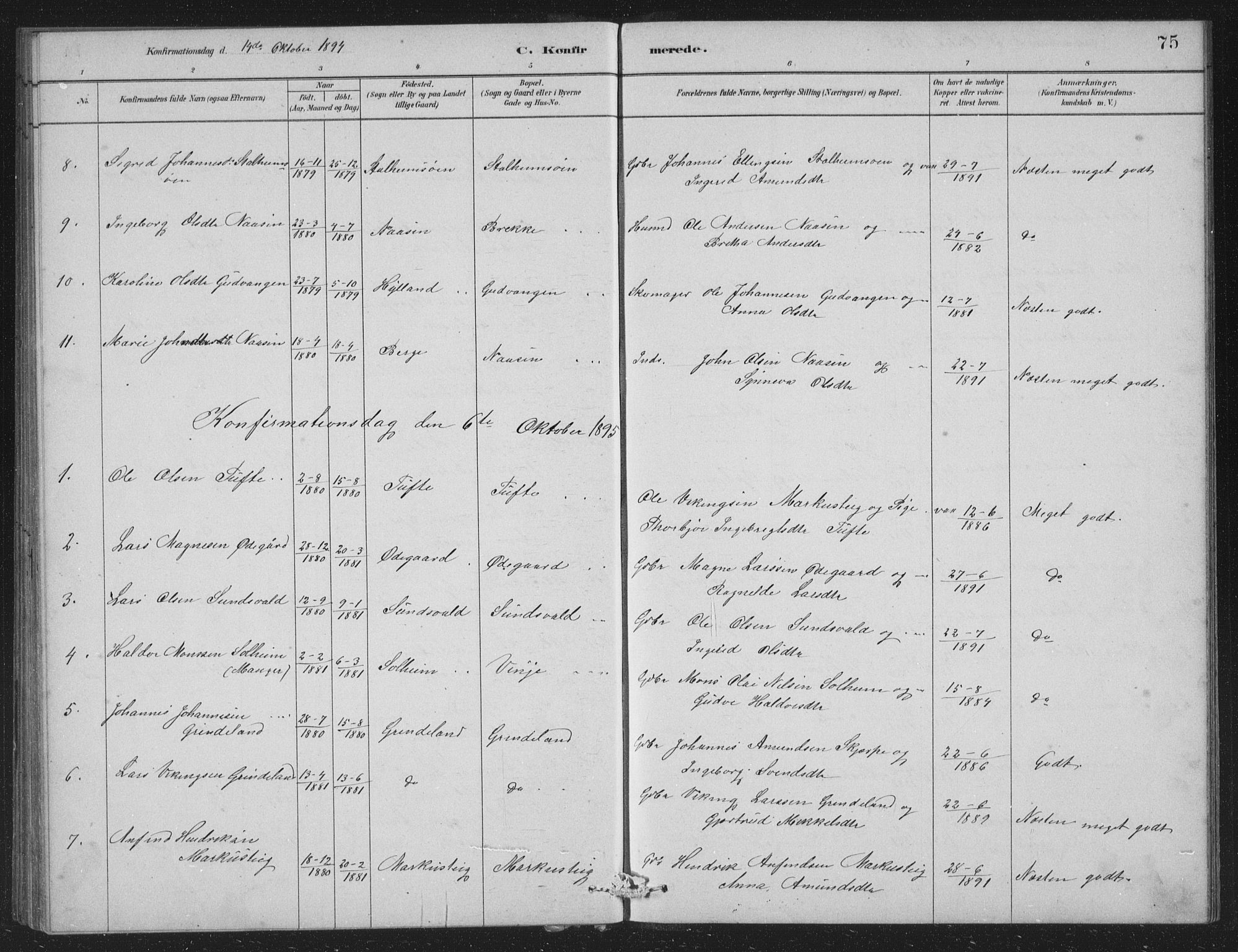 Vossestrand Sokneprestembete, AV/SAB-A-79101/H/Hab: Parish register (copy) no. A 2, 1880-1902, p. 75