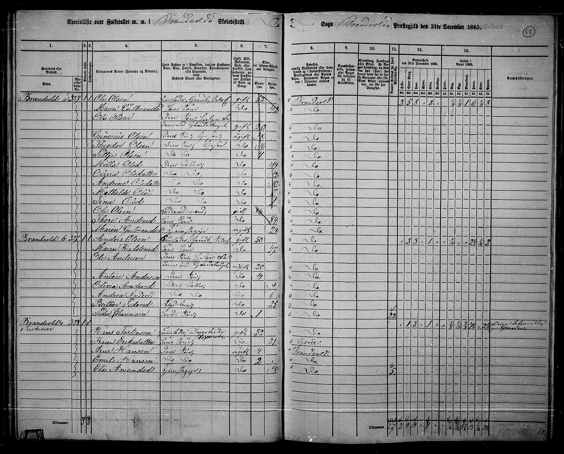 RA, 1865 census for Brandval, 1865, p. 52