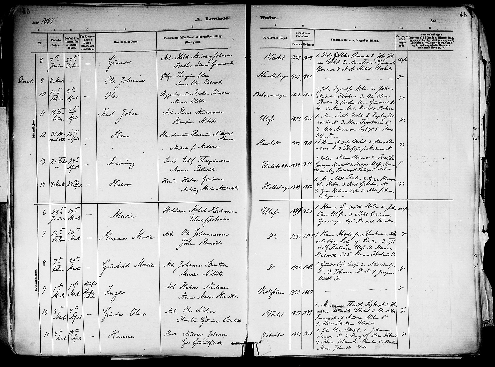 Holla kirkebøker, SAKO/A-272/F/Fa/L0008: Parish register (official) no. 8, 1882-1897, p. 45