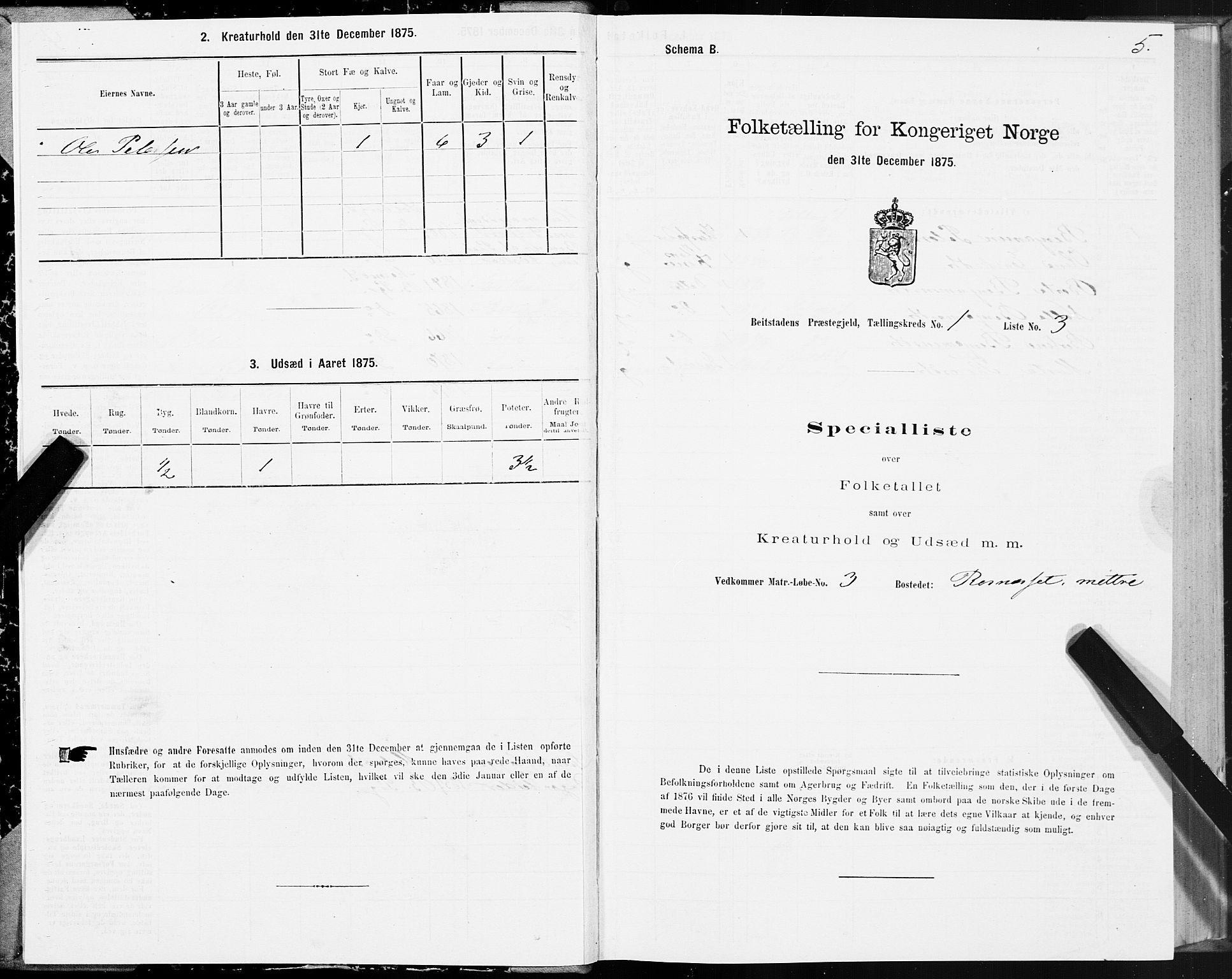 SAT, 1875 census for 1727P Beitstad, 1875, p. 1005