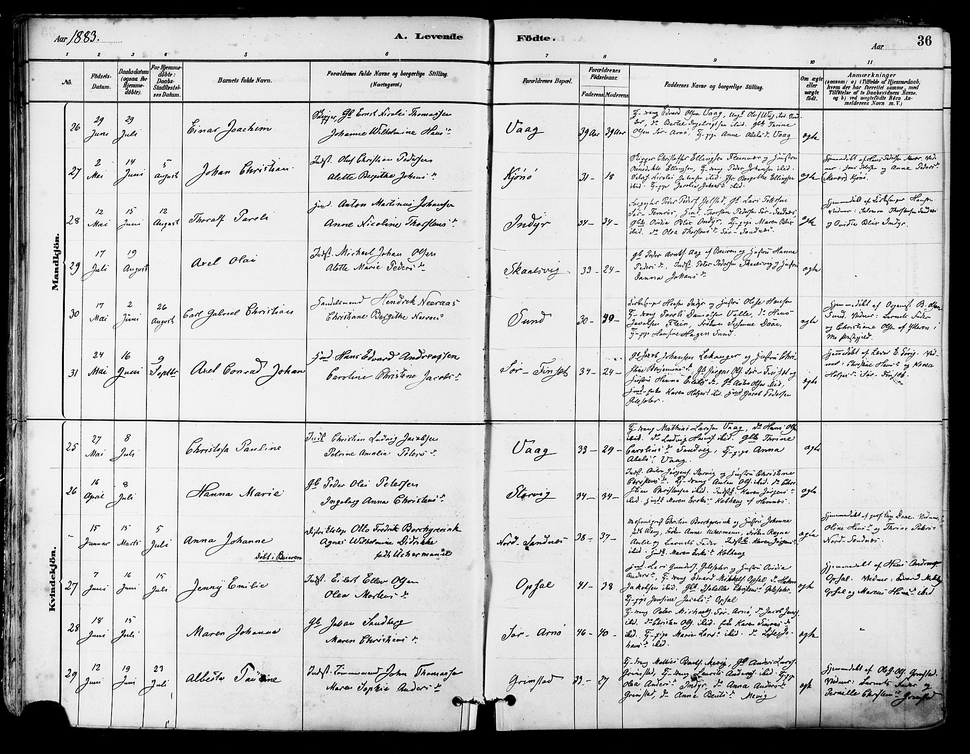 Ministerialprotokoller, klokkerbøker og fødselsregistre - Nordland, AV/SAT-A-1459/805/L0099: Parish register (official) no. 805A06, 1880-1891, p. 36