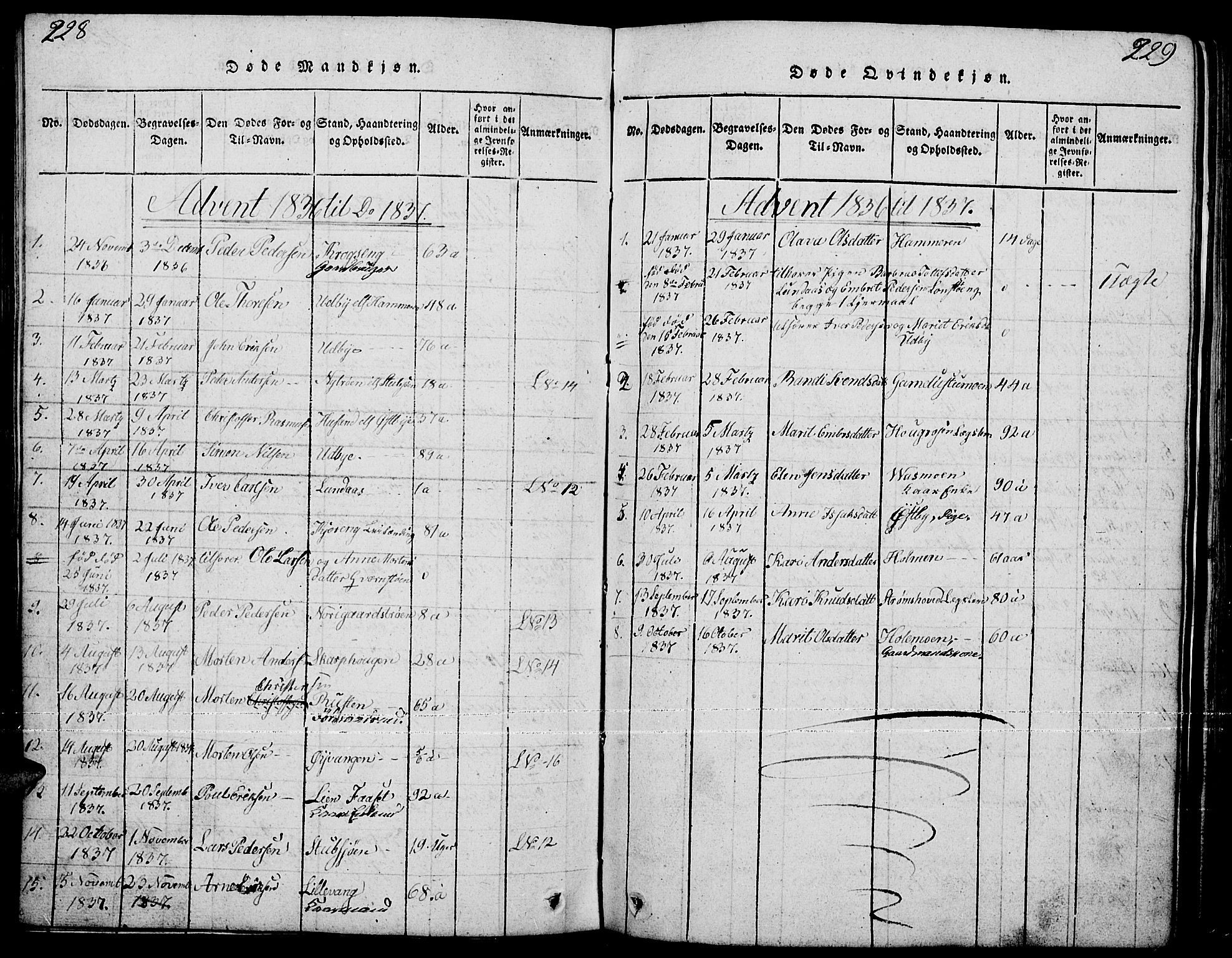 Tynset prestekontor, SAH/PREST-058/H/Ha/Hab/L0001: Parish register (copy) no. 1, 1814-1859, p. 228-229