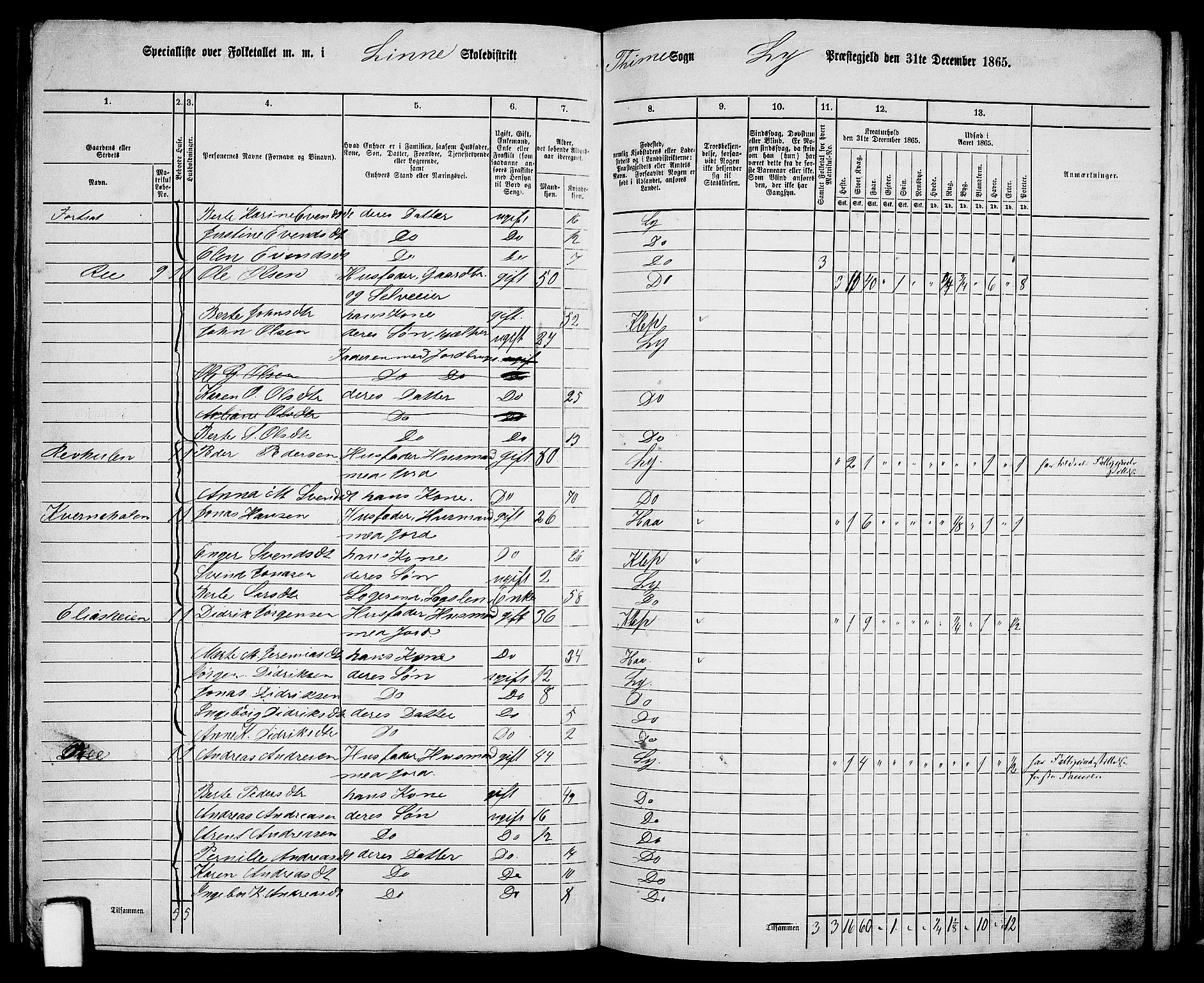 RA, 1865 census for Lye, 1865, p. 114