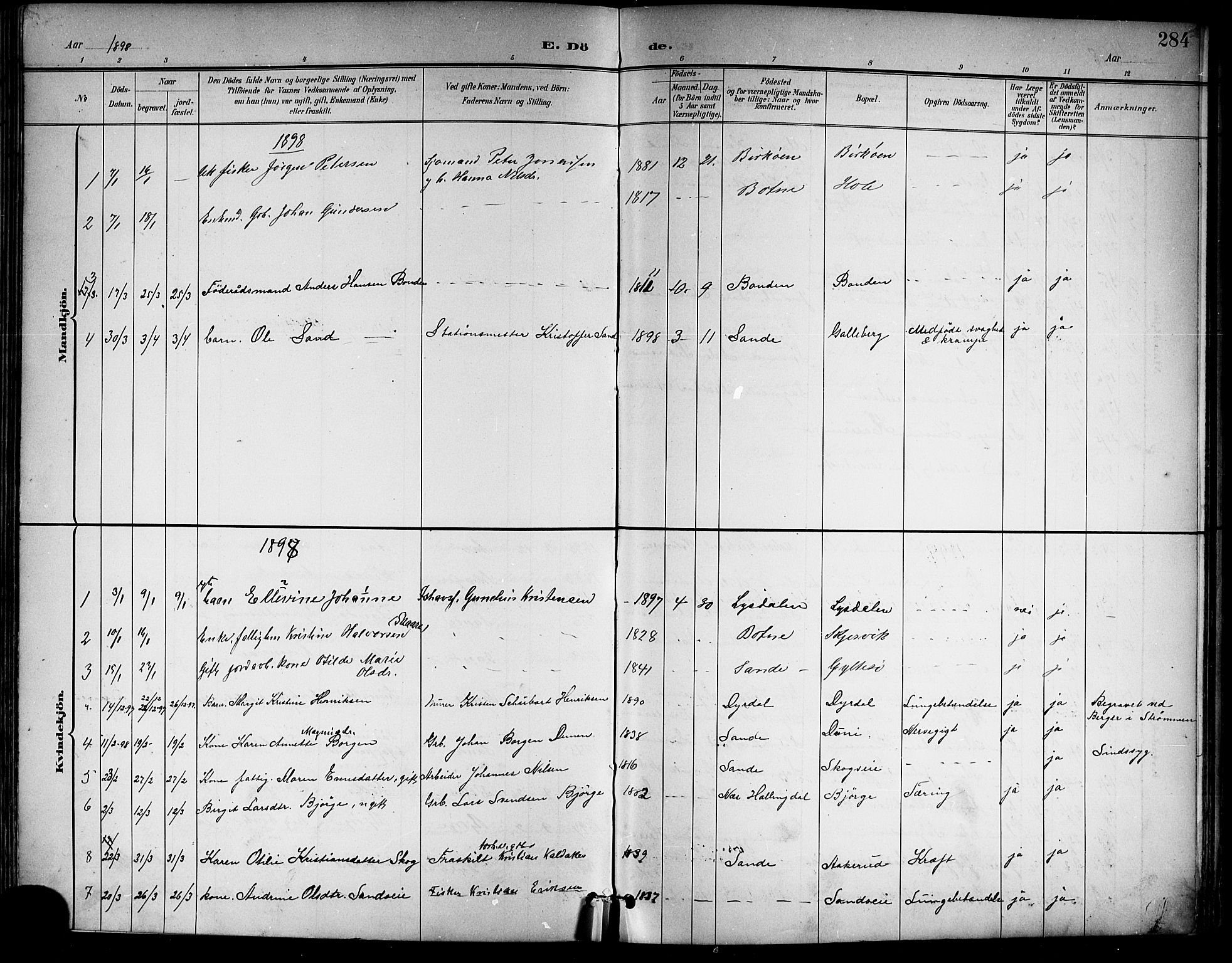 Sande Kirkebøker, SAKO/A-53/G/Ga/L0004: Parish register (copy) no. 4, 1895-1918, p. 284
