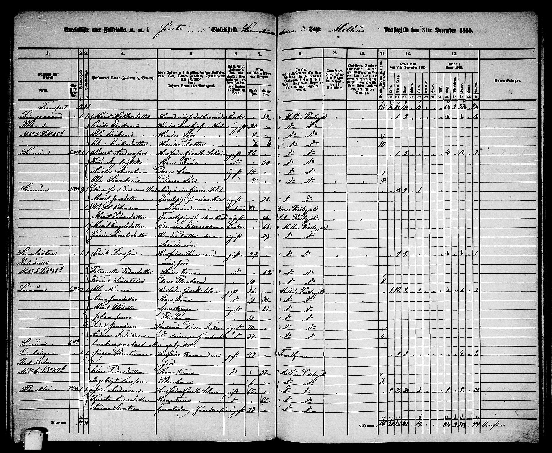 RA, 1865 census for Melhus, 1865, p. 204