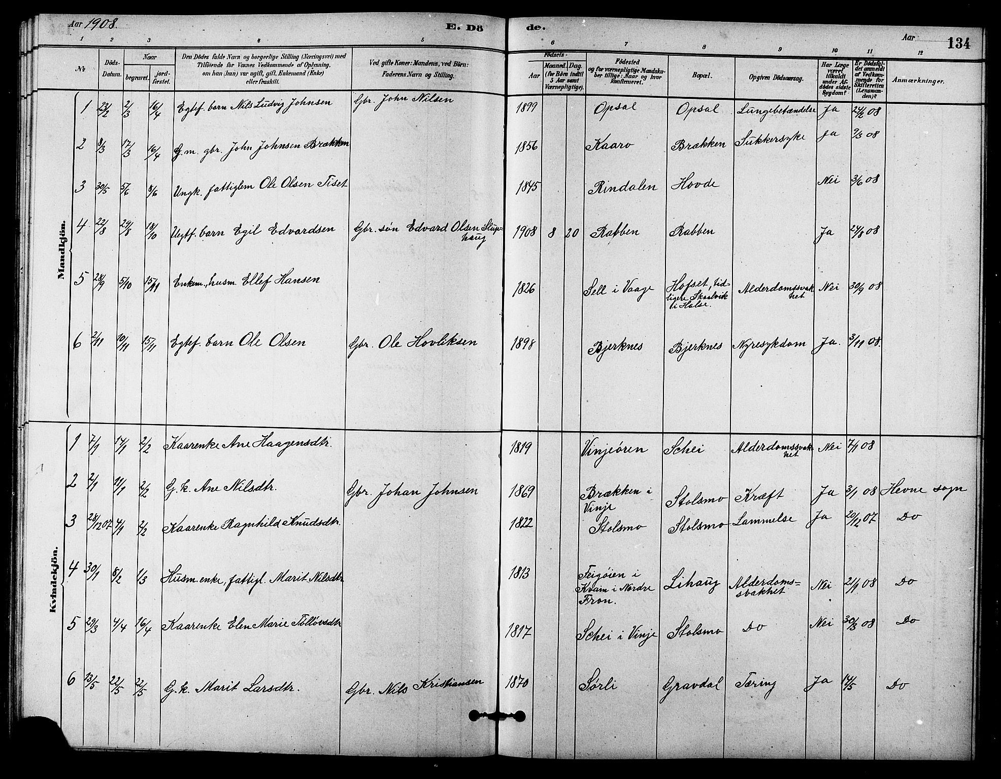Ministerialprotokoller, klokkerbøker og fødselsregistre - Sør-Trøndelag, SAT/A-1456/631/L0514: Parish register (copy) no. 631C02, 1879-1912, p. 134