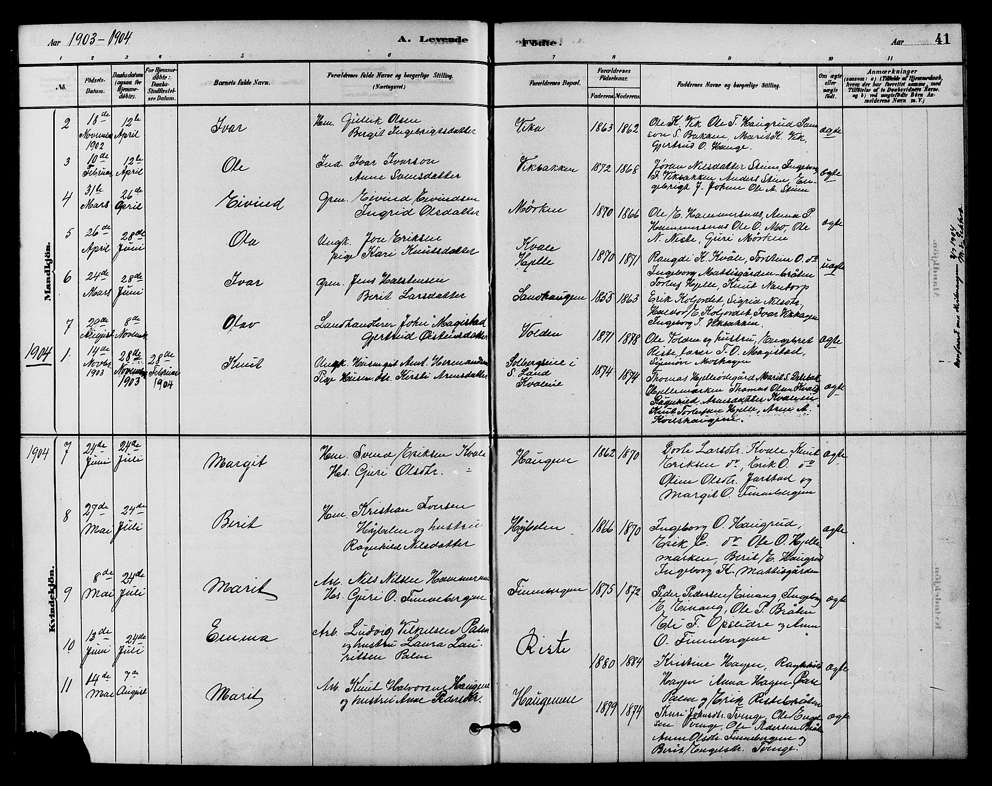 Vestre Slidre prestekontor, SAH/PREST-136/H/Ha/Hab/L0004: Parish register (copy) no. 4, 1881-1912, p. 41