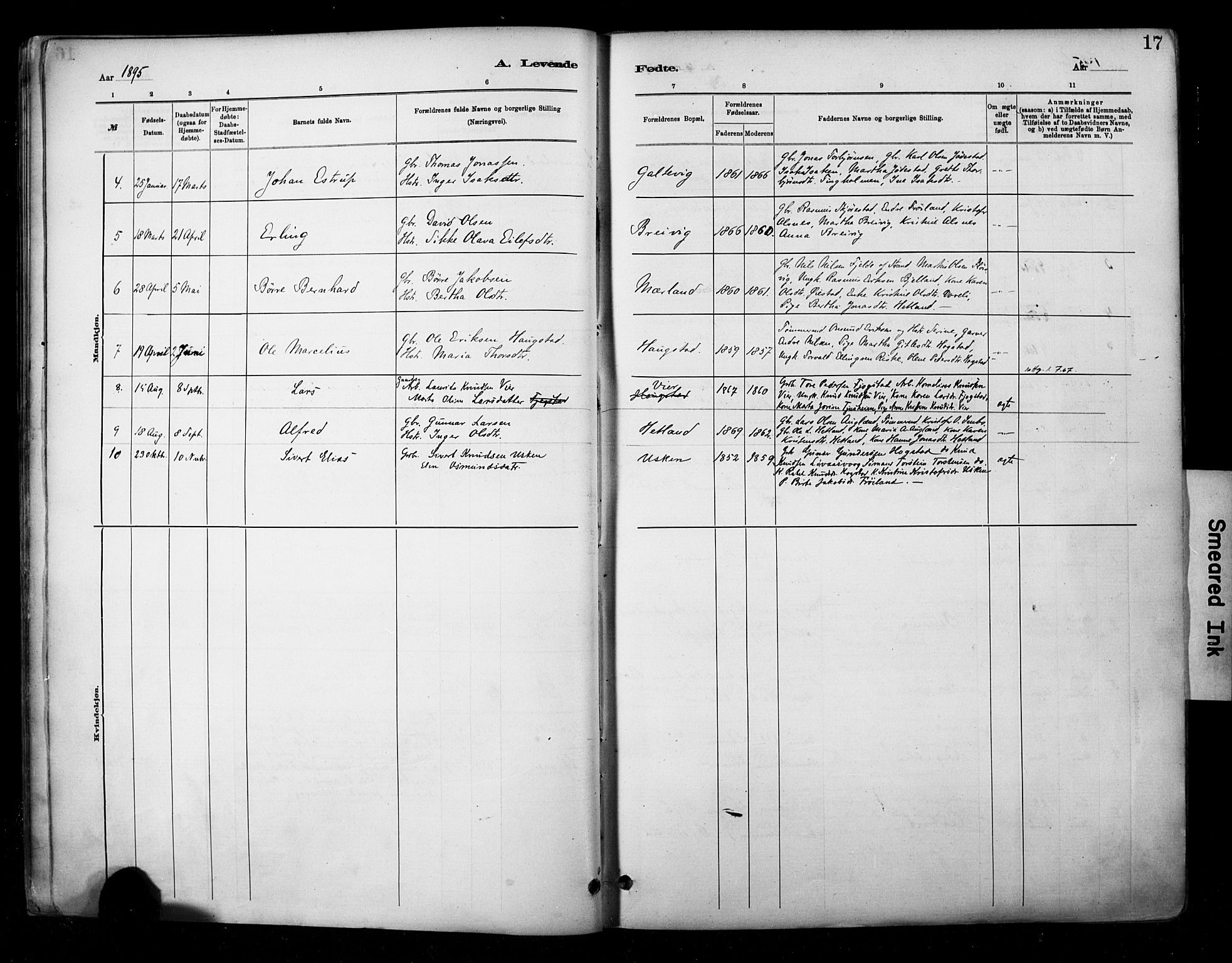 Hetland sokneprestkontor, AV/SAST-A-101826/30/30BA/L0010: Parish register (official) no. A 10, 1882-1925, p. 17