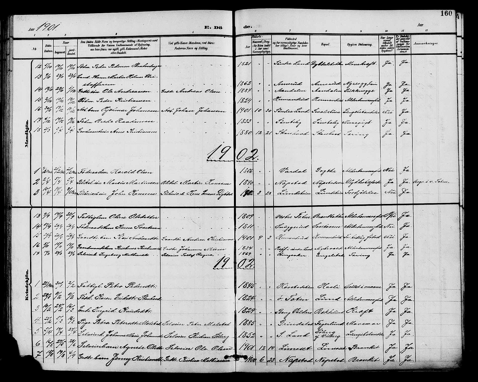 Vardal prestekontor, SAH/PREST-100/H/Ha/Hab/L0011: Parish register (copy) no. 11, 1899-1913, p. 160