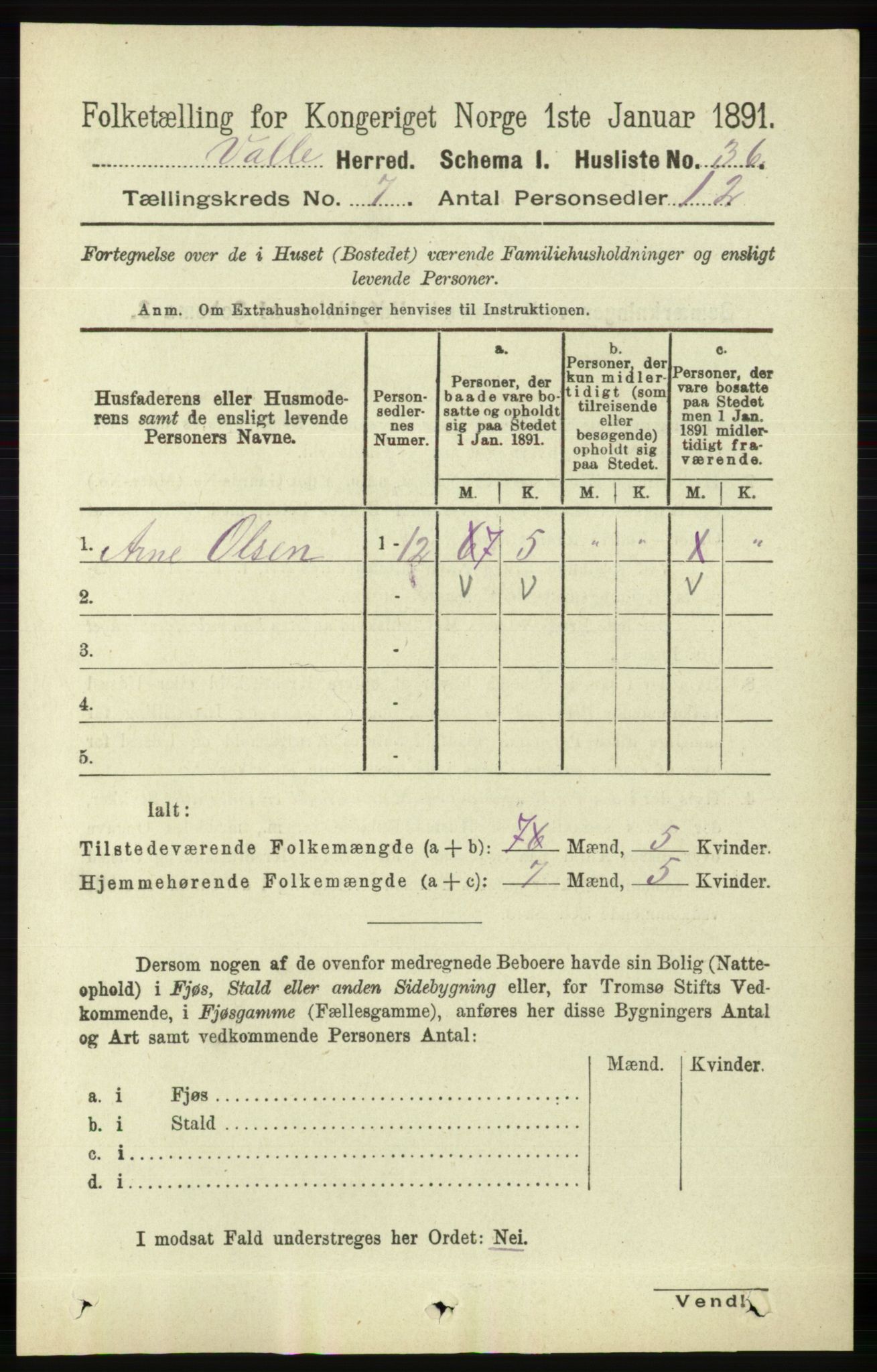 RA, 1891 census for 0940 Valle, 1891, p. 1960