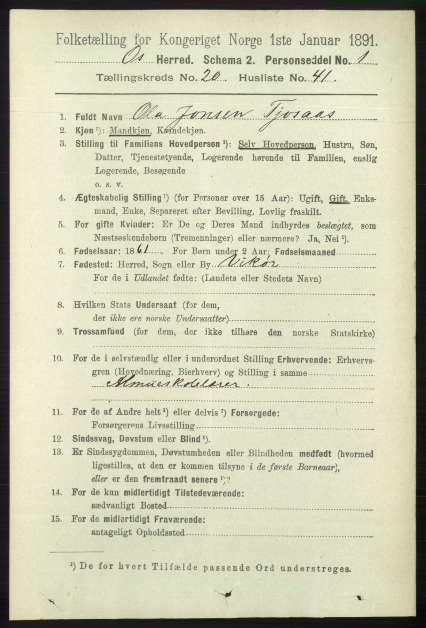 RA, 1891 census for 1243 Os, 1891, p. 4813