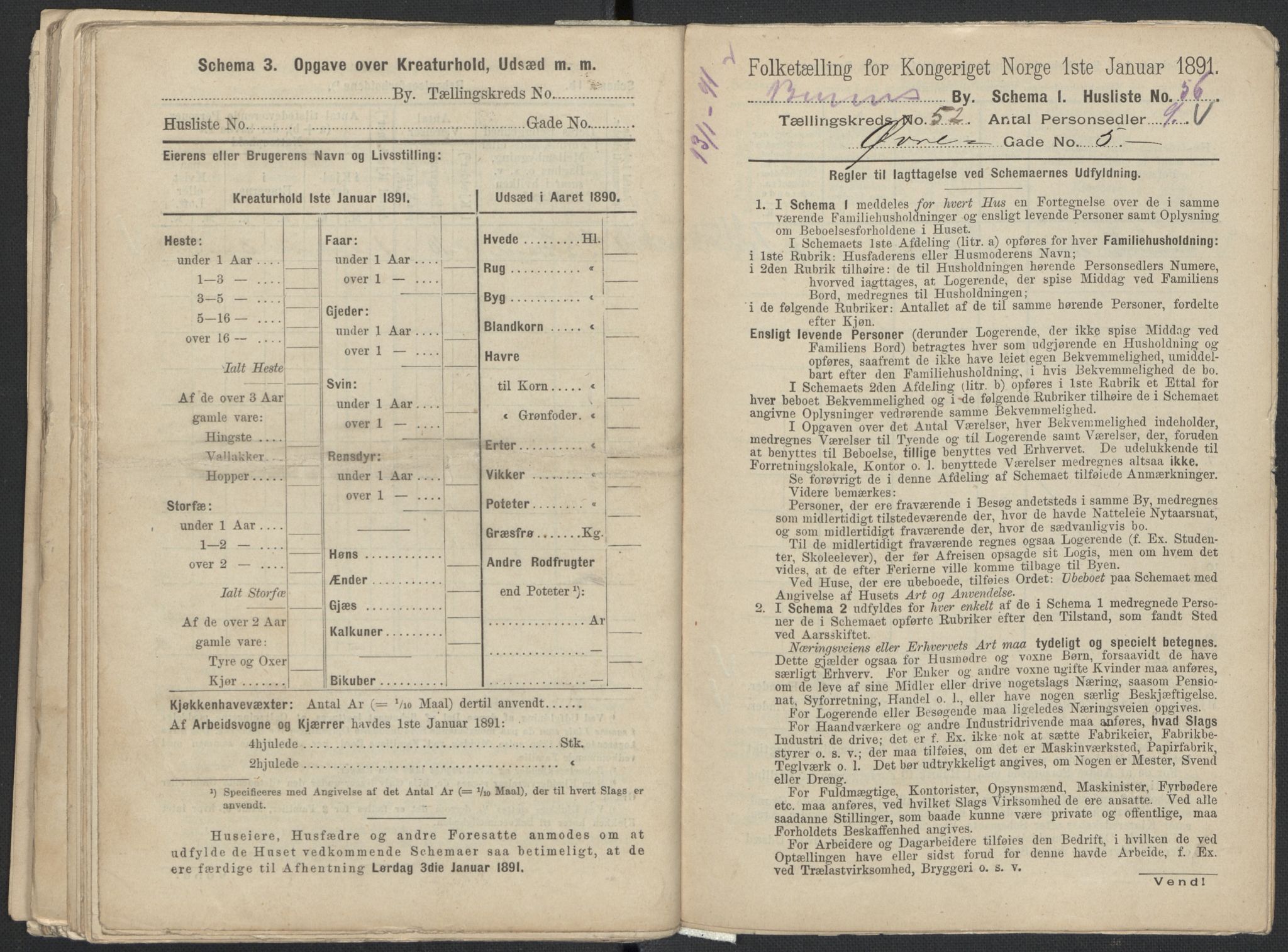 RA, 1891 Census for 1301 Bergen, 1891, p. 8562