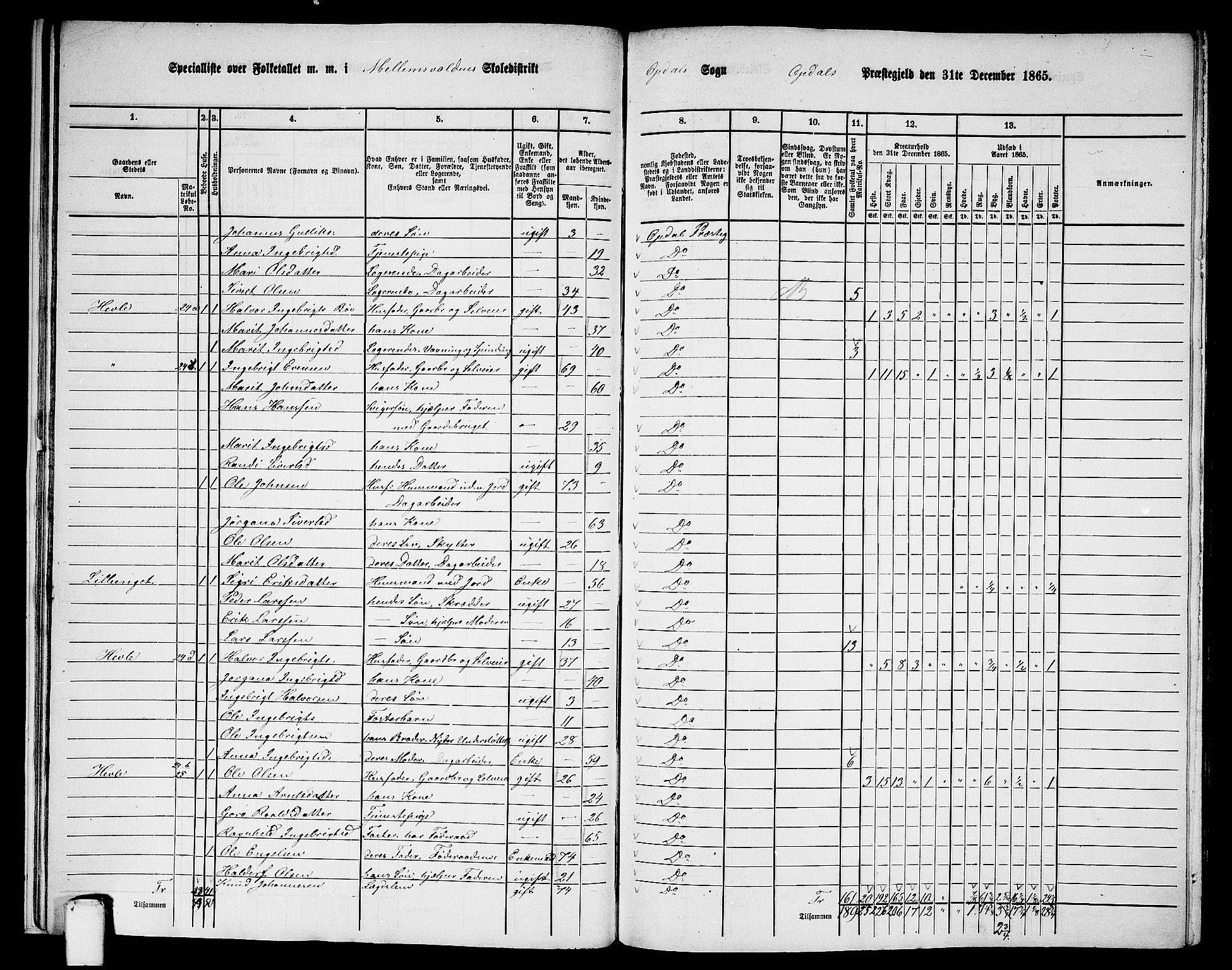 RA, 1865 census for Oppdal, 1865, p. 21