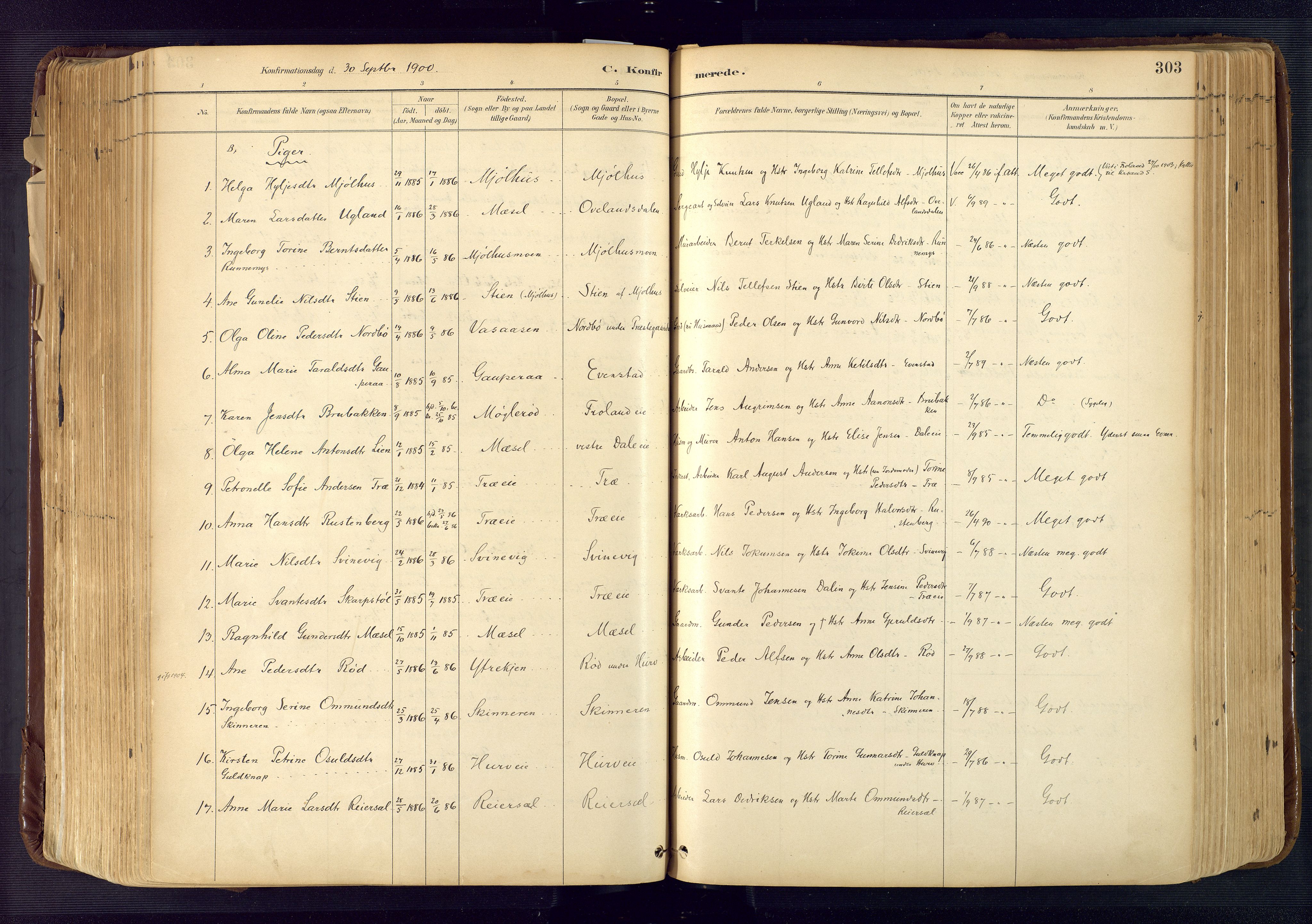 Froland sokneprestkontor, AV/SAK-1111-0013/F/Fa/L0005: Parish register (official) no. A 5, 1882-1921, p. 303