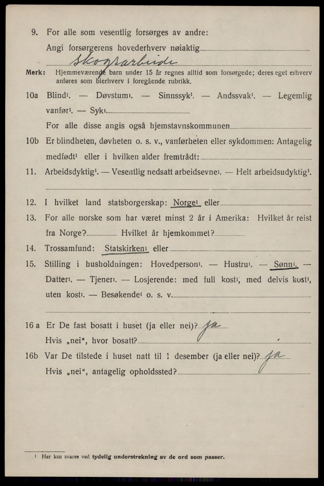 SAKO, 1920 census for Nissedal, 1920, p. 1856