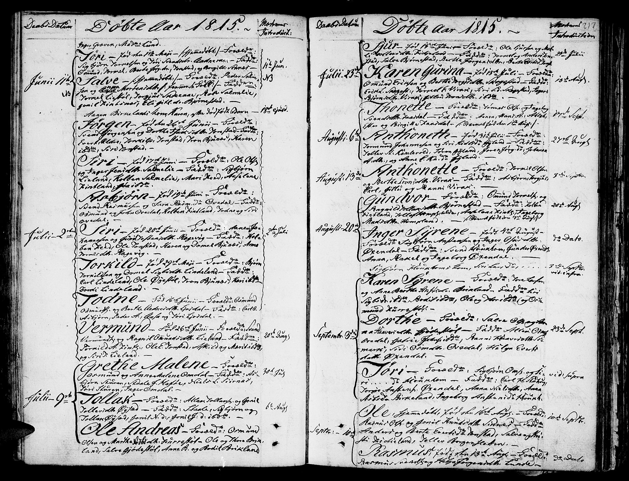 Bakke sokneprestkontor, SAK/1111-0002/F/Fa/Faa/L0002: Parish register (official) no. A 2, 1780-1816, p. 217