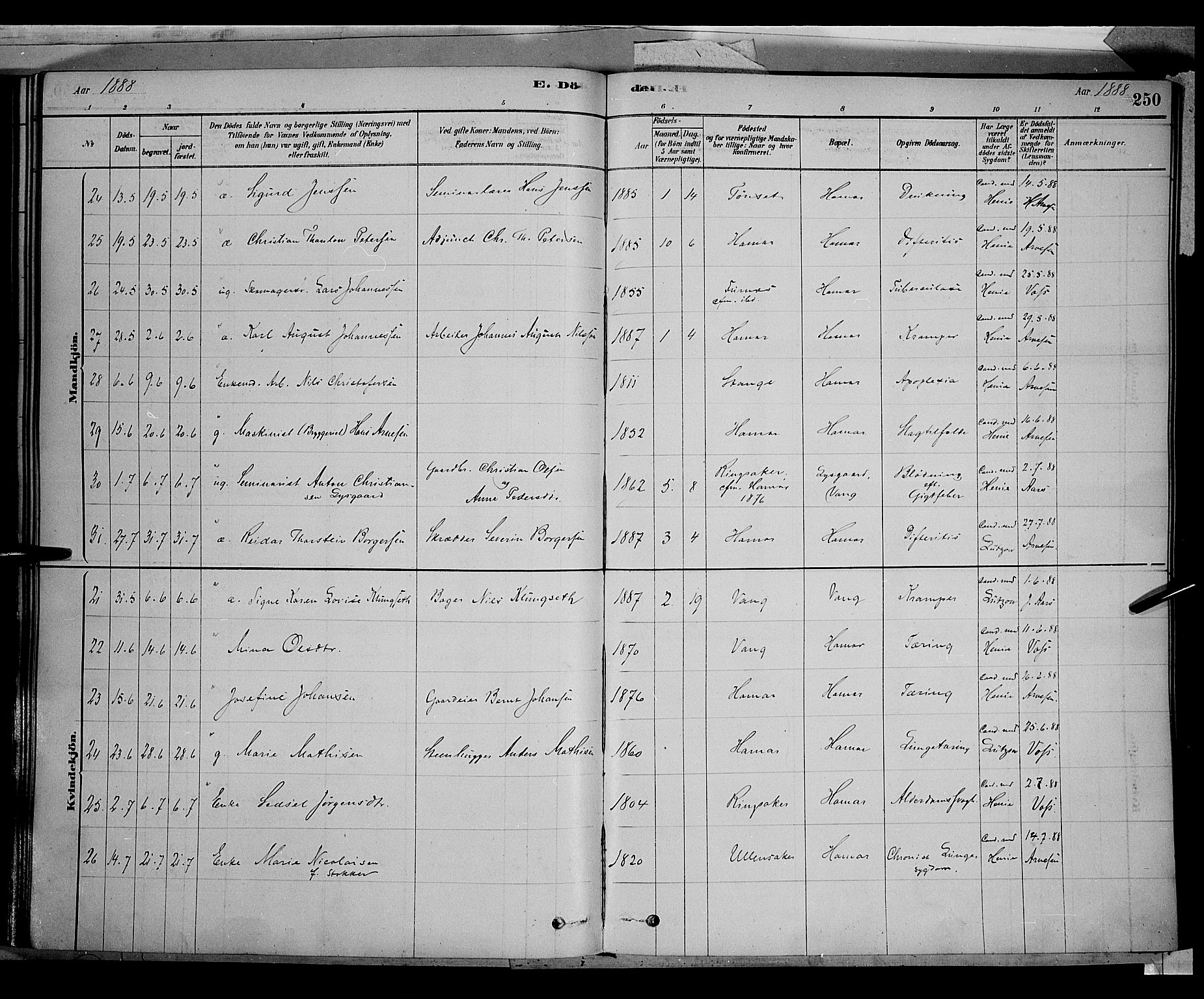 Vang prestekontor, Hedmark, SAH/PREST-008/H/Ha/Haa/L0016: Parish register (official) no. 16, 1878-1889, p. 250