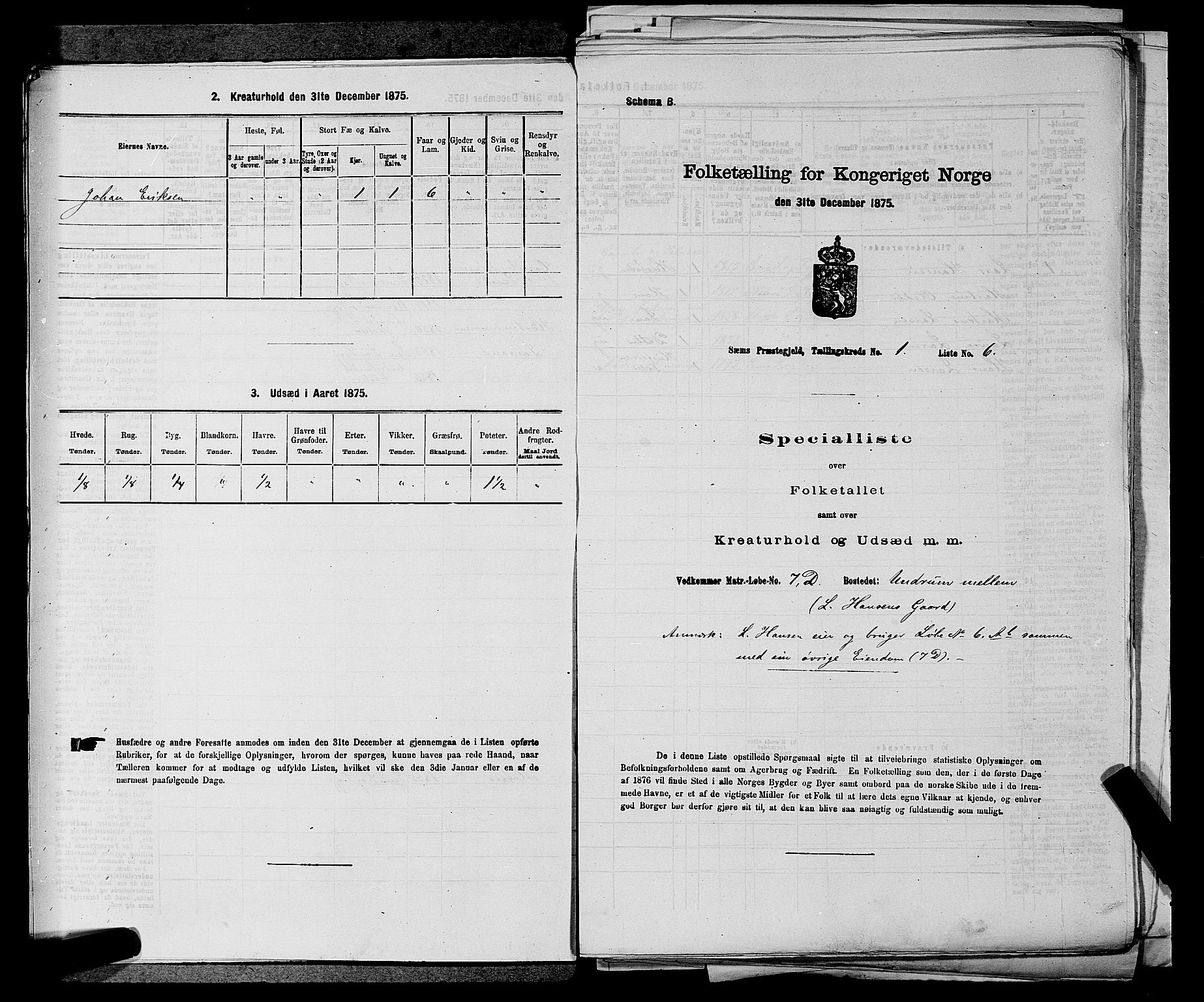 SAKO, 1875 census for 0721P Sem, 1875, p. 95