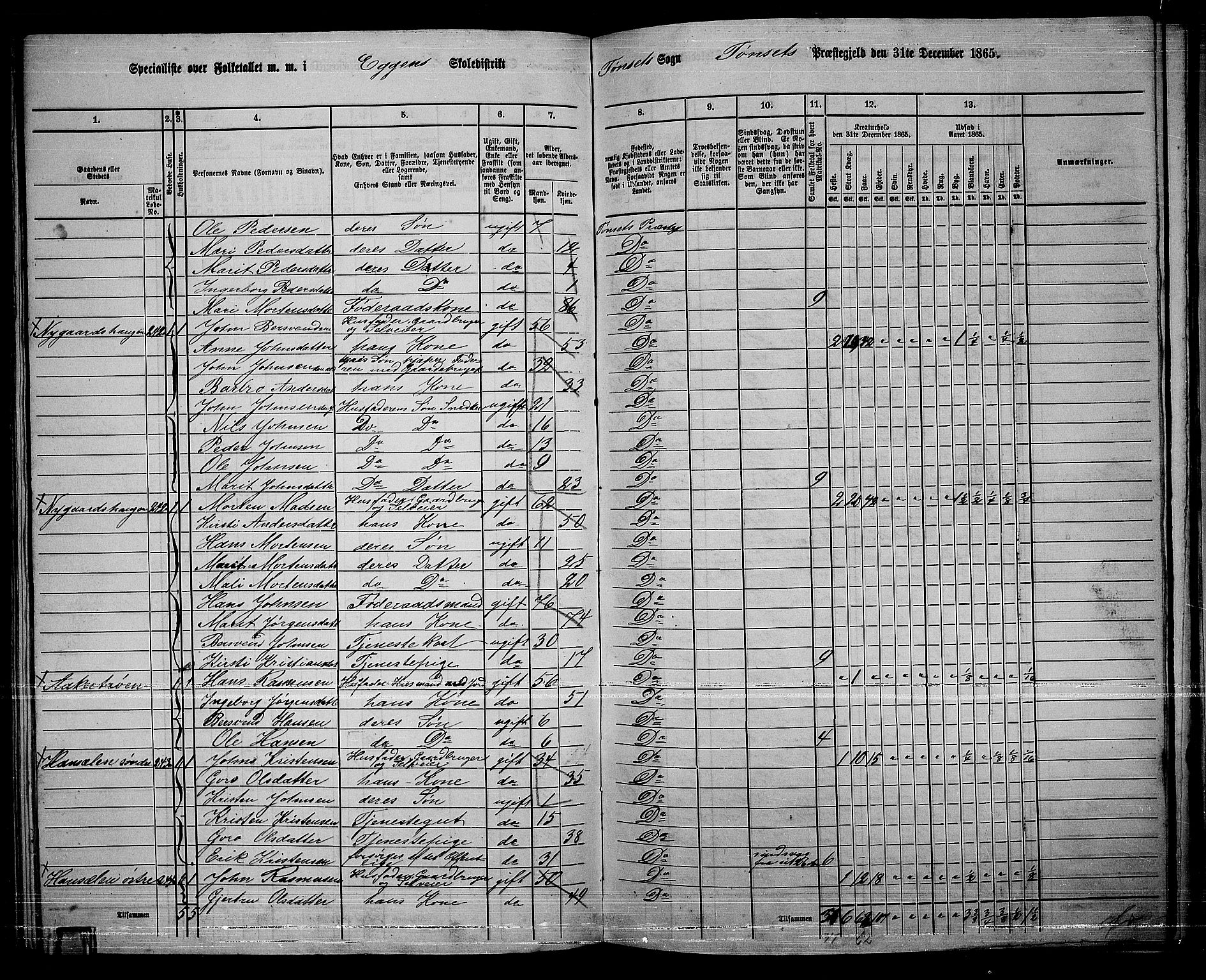 RA, 1865 census for Tynset, 1865, p. 99