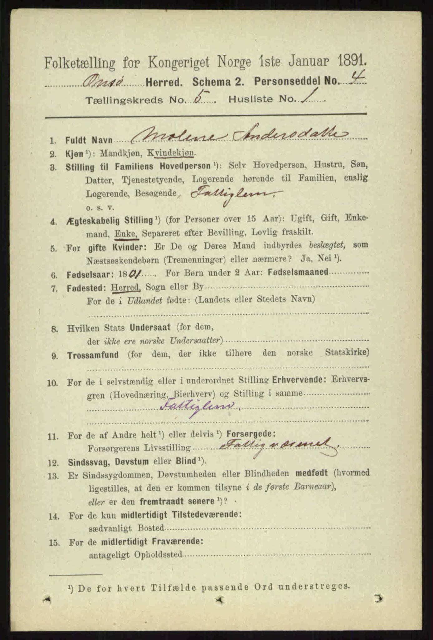 RA, 1891 census for 0134 Onsøy, 1891, p. 3957