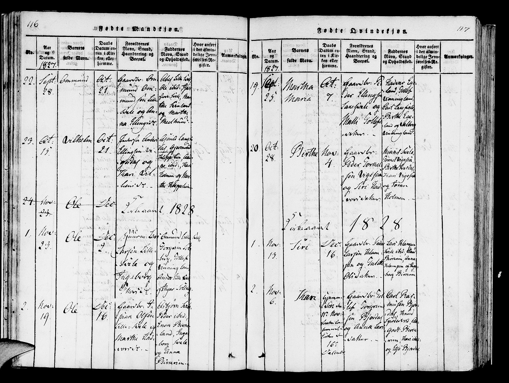 Helleland sokneprestkontor, AV/SAST-A-101810: Parish register (official) no. A 5, 1815-1834, p. 116-117