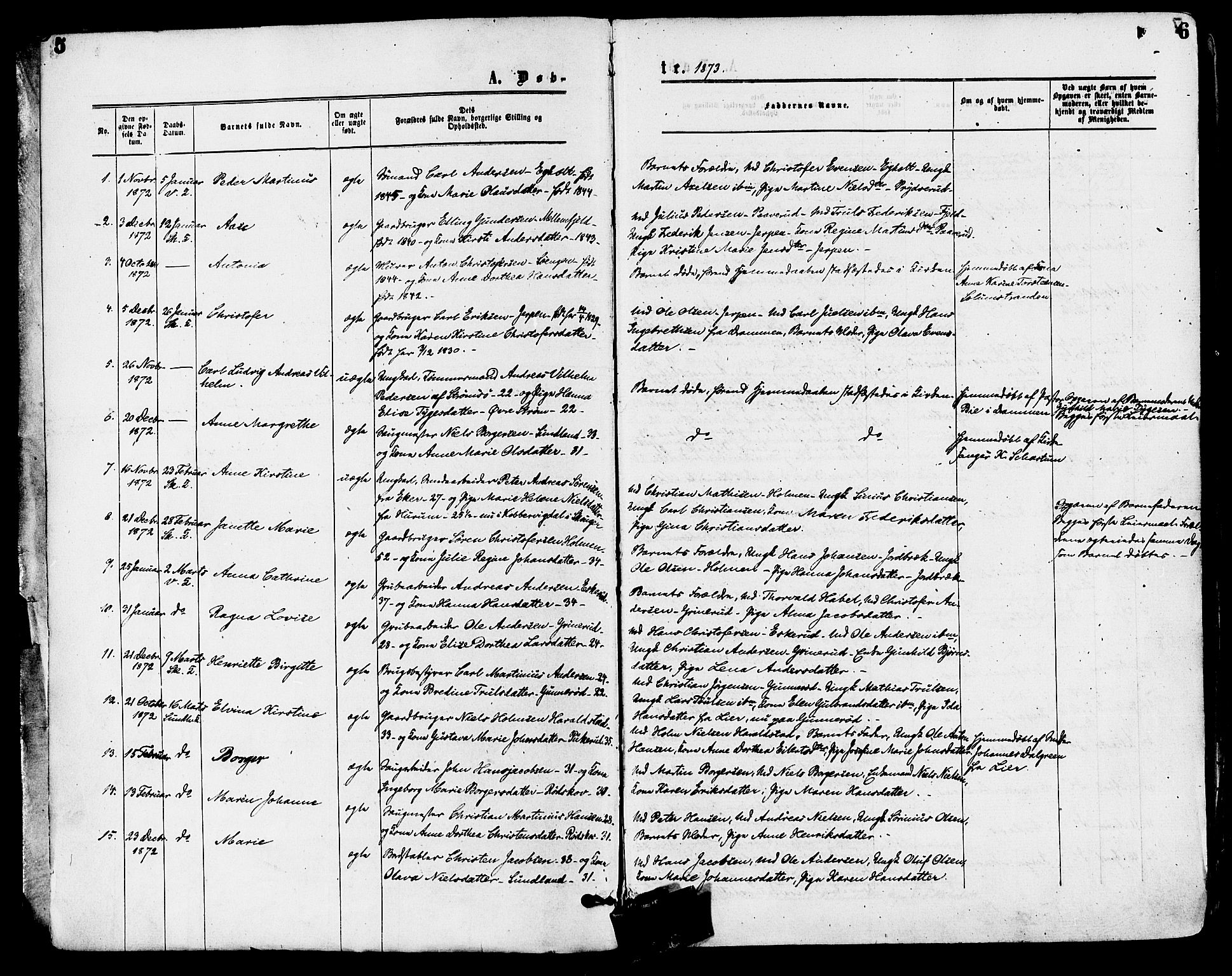 Skoger kirkebøker, AV/SAKO-A-59/F/Fa/L0005: Parish register (official) no. I 5, 1873-1884, p. 5-6