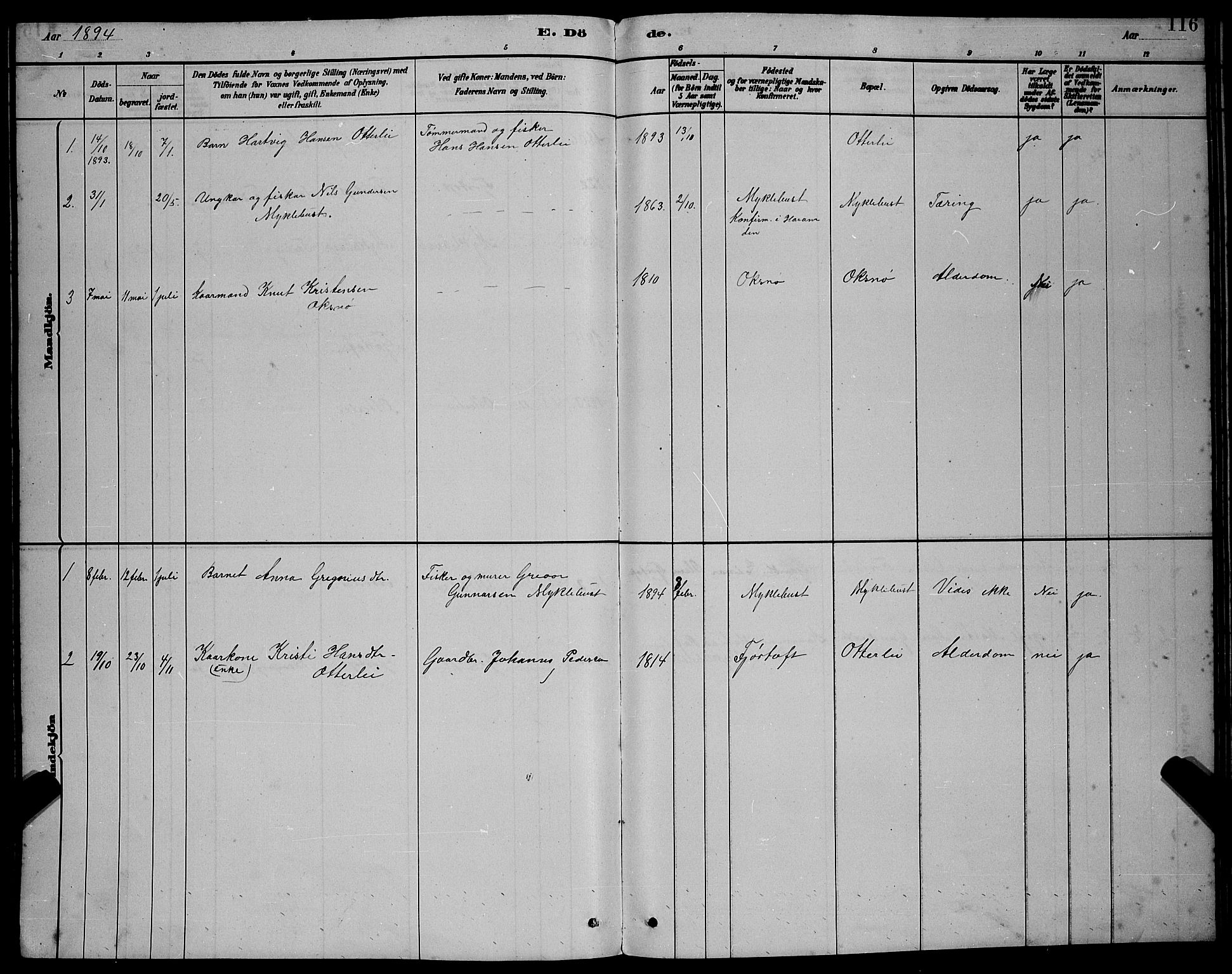 Ministerialprotokoller, klokkerbøker og fødselsregistre - Møre og Romsdal, SAT/A-1454/538/L0523: Parish register (copy) no. 538C01, 1881-1900, p. 116