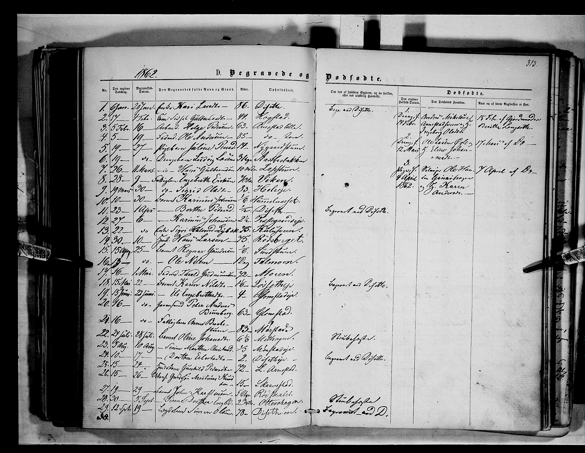 Åmot prestekontor, Hedmark, AV/SAH-PREST-056/H/Ha/Haa/L0008: Parish register (official) no. 8, 1862-1875, p. 313