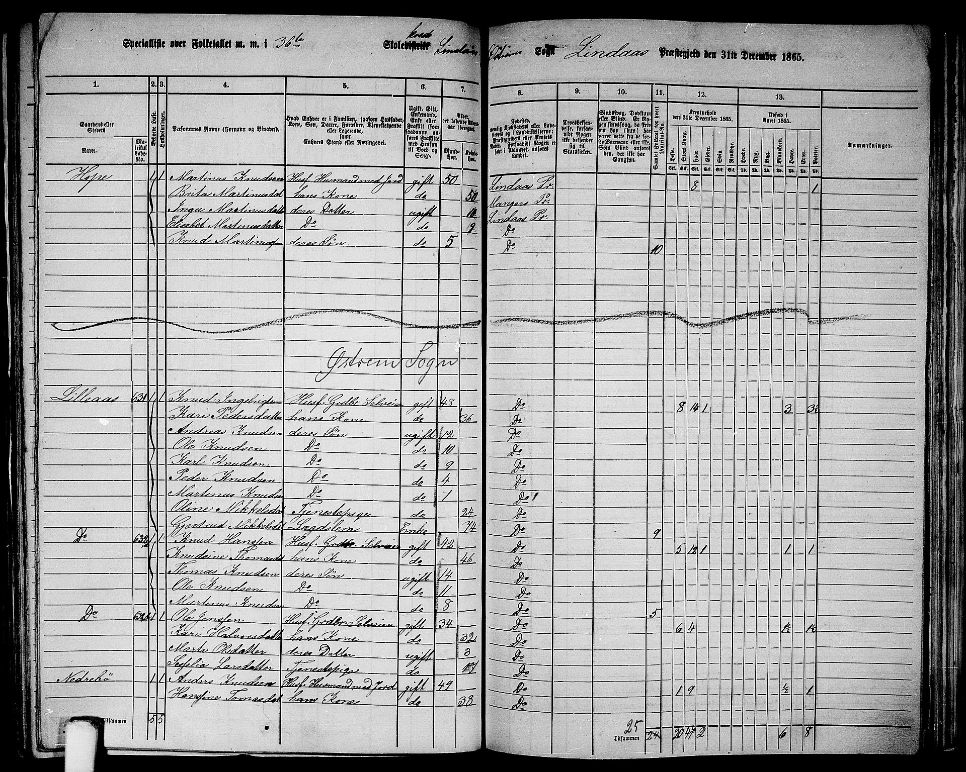 RA, 1865 census for Lindås, 1865, p. 234