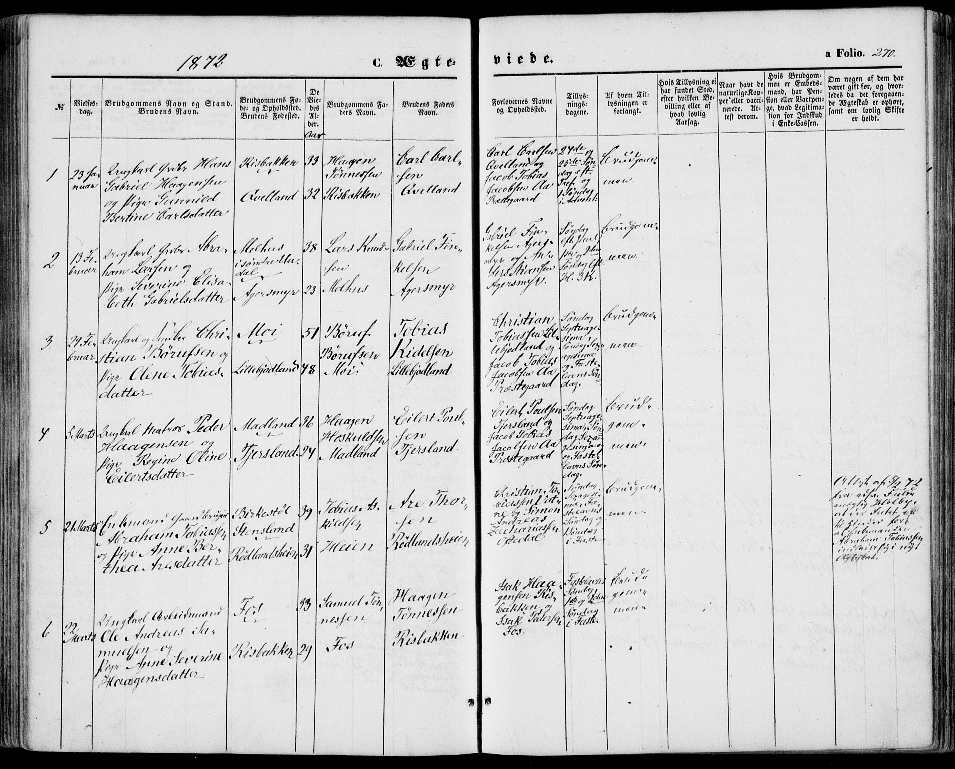 Lyngdal sokneprestkontor, SAK/1111-0029/F/Fa/Fac/L0010: Parish register (official) no. A 10, 1865-1878, p. 270