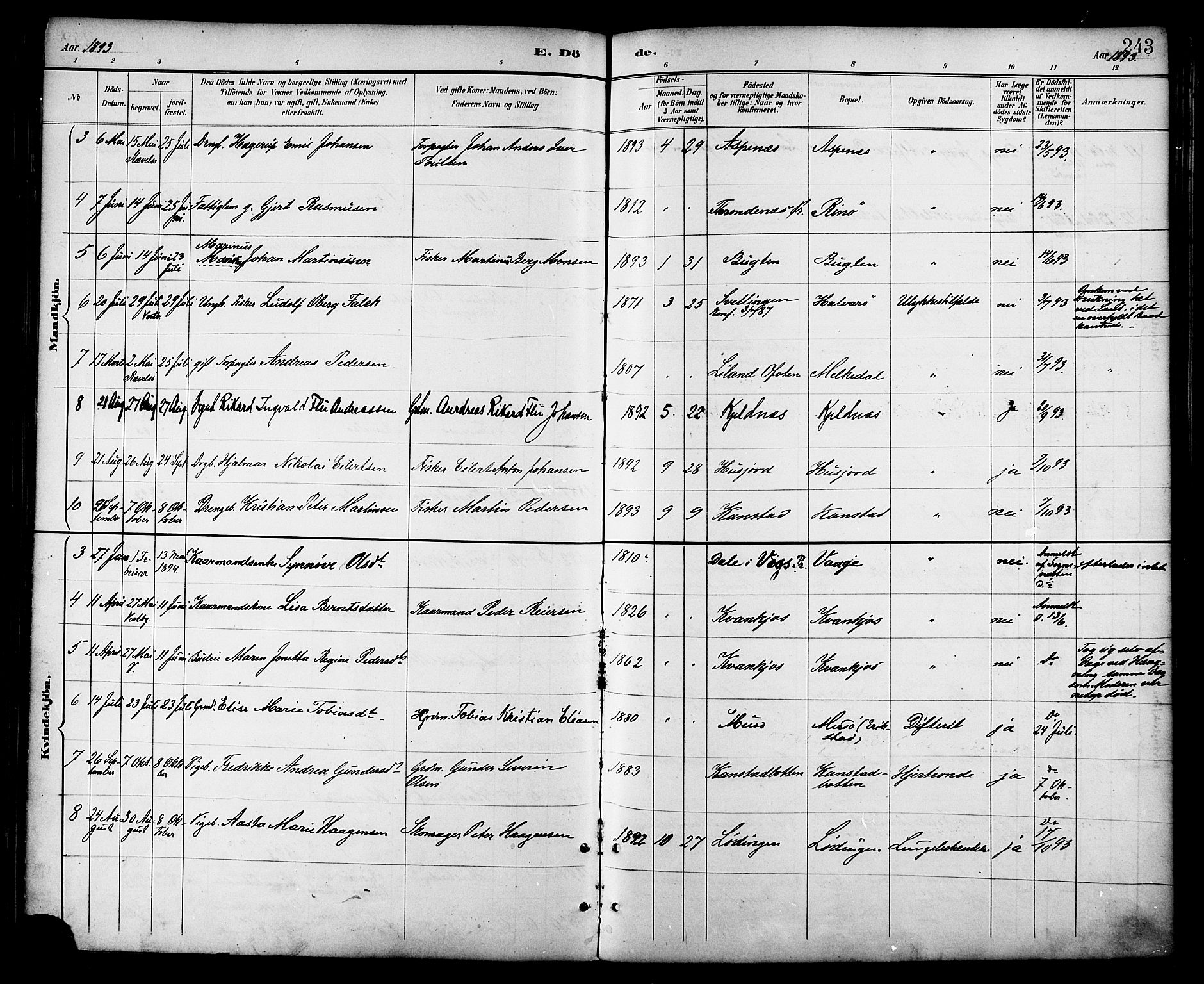 Ministerialprotokoller, klokkerbøker og fødselsregistre - Nordland, AV/SAT-A-1459/872/L1035: Parish register (official) no. 872A10, 1884-1896, p. 243