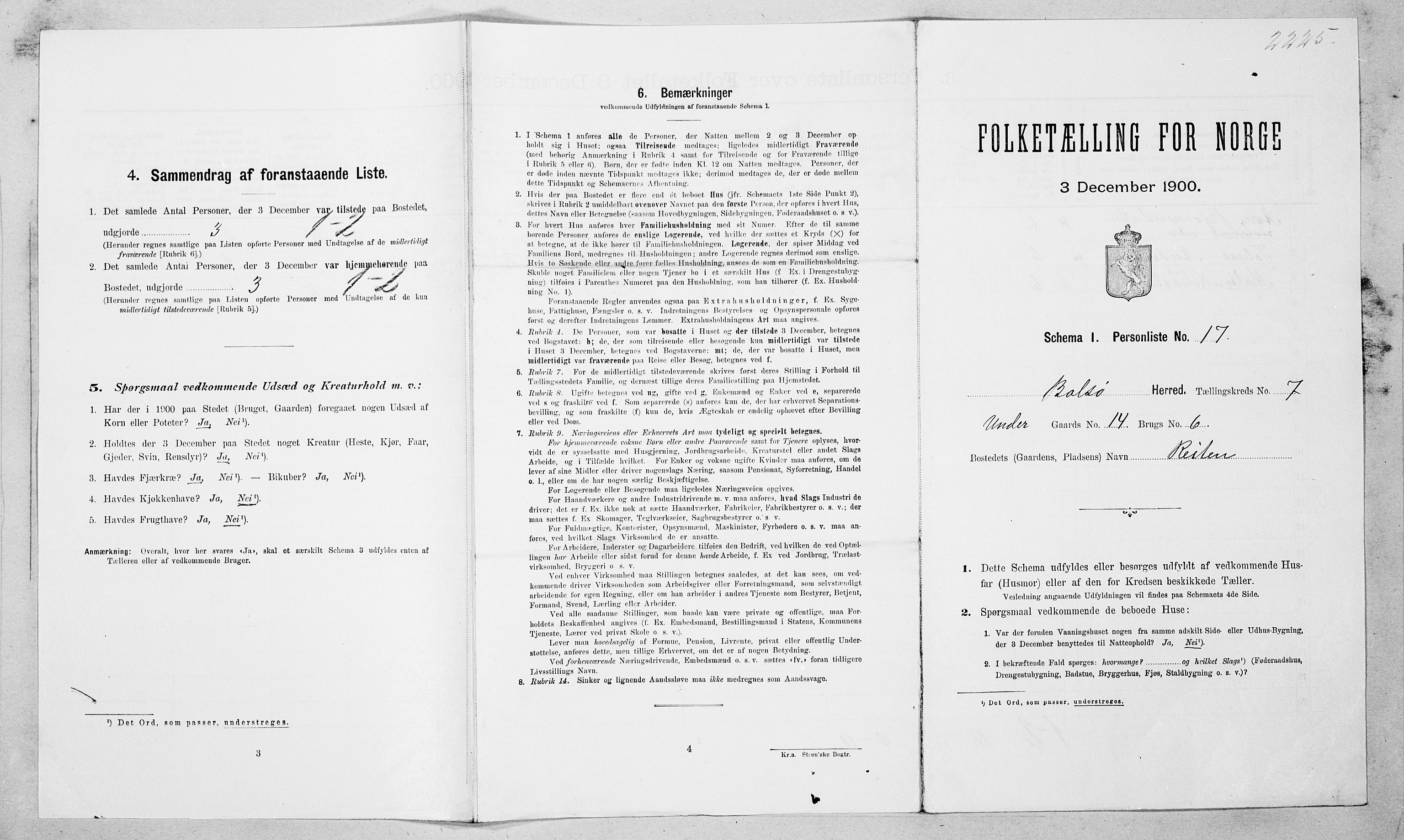 SAT, 1900 census for Bolsøy, 1900, p. 1216