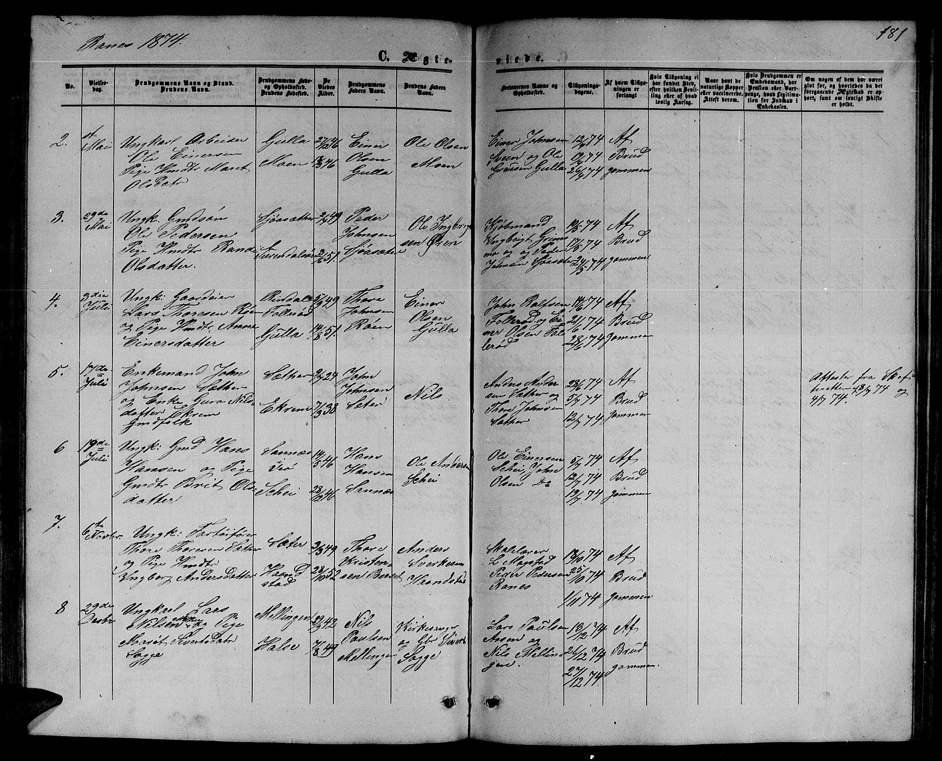 Ministerialprotokoller, klokkerbøker og fødselsregistre - Møre og Romsdal, SAT/A-1454/595/L1051: Parish register (copy) no. 595C03, 1866-1891, p. 181