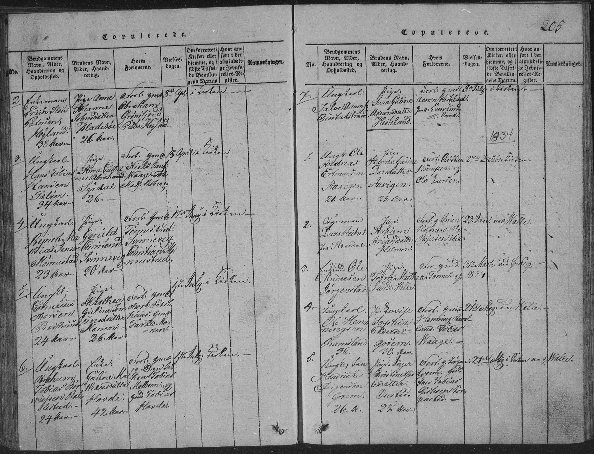 Sør-Audnedal sokneprestkontor, SAK/1111-0039/F/Fb/Fba/L0001: Parish register (copy) no. B 1, 1815-1850, p. 205