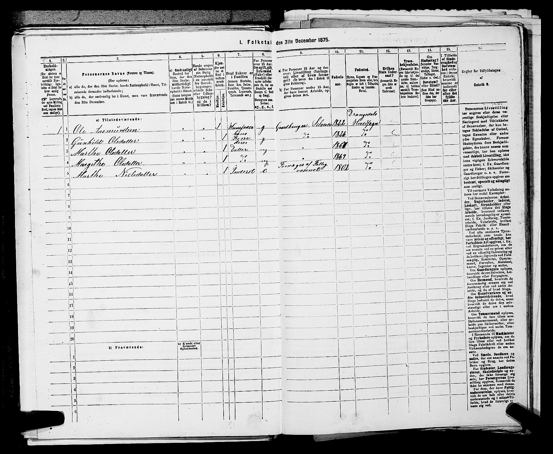 SAKO, 1875 census for 0817P Drangedal, 1875, p. 152