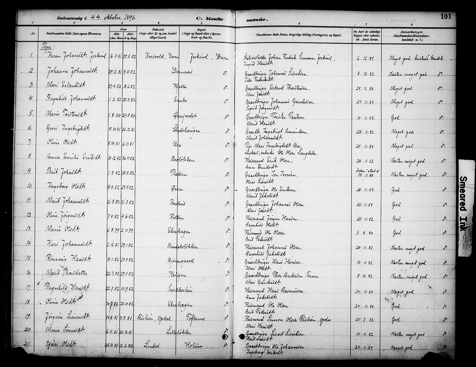 Dovre prestekontor, AV/SAH-PREST-066/H/Ha/Haa/L0003: Parish register (official) no. 3, 1891-1901, p. 101