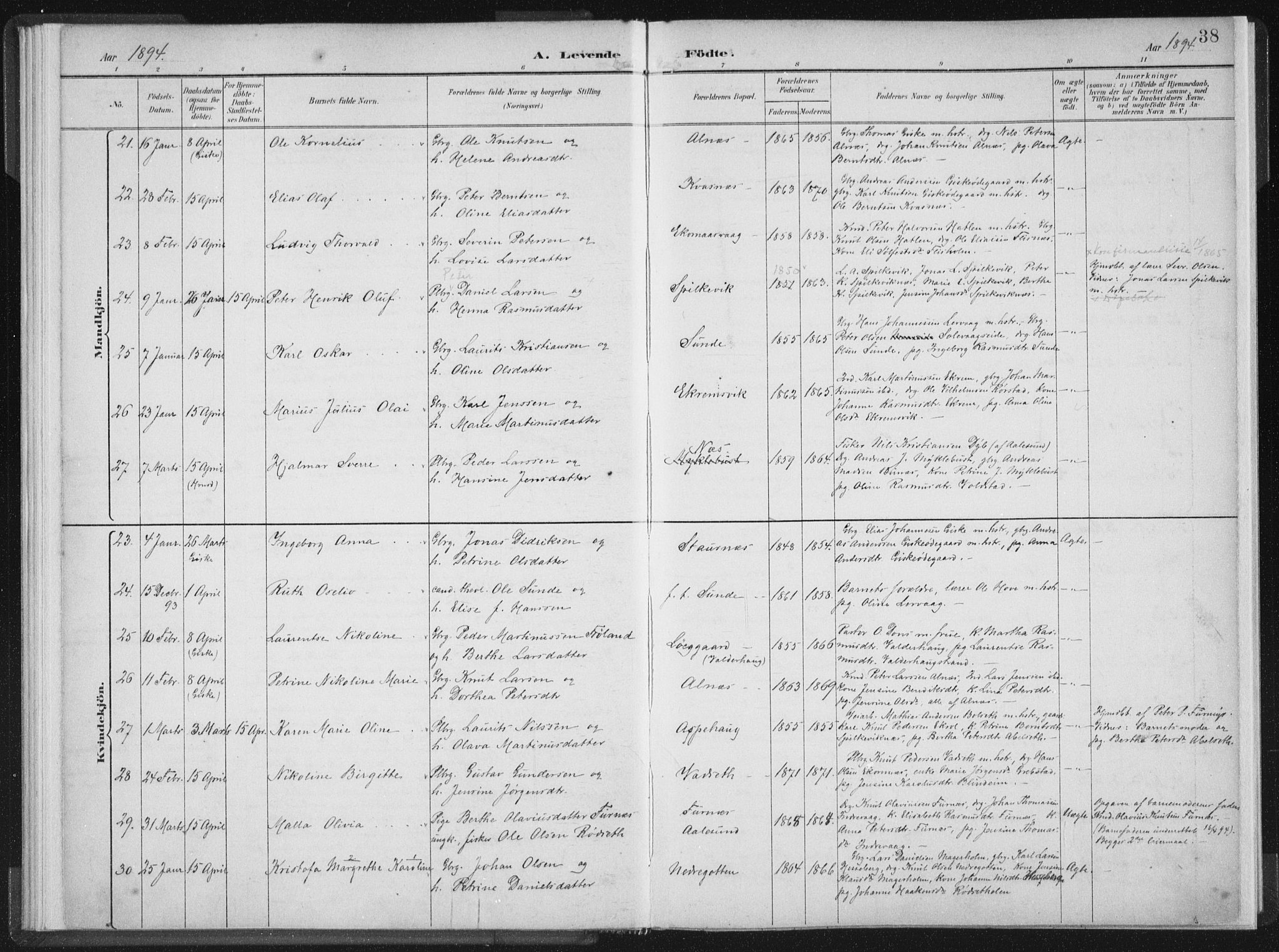 Ministerialprotokoller, klokkerbøker og fødselsregistre - Møre og Romsdal, AV/SAT-A-1454/528/L0405: Parish register (official) no. 528A14, 1891-1906, p. 38