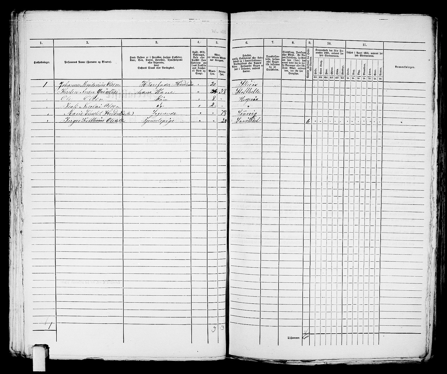 RA, 1865 census for Kragerø/Kragerø, 1865, p. 700