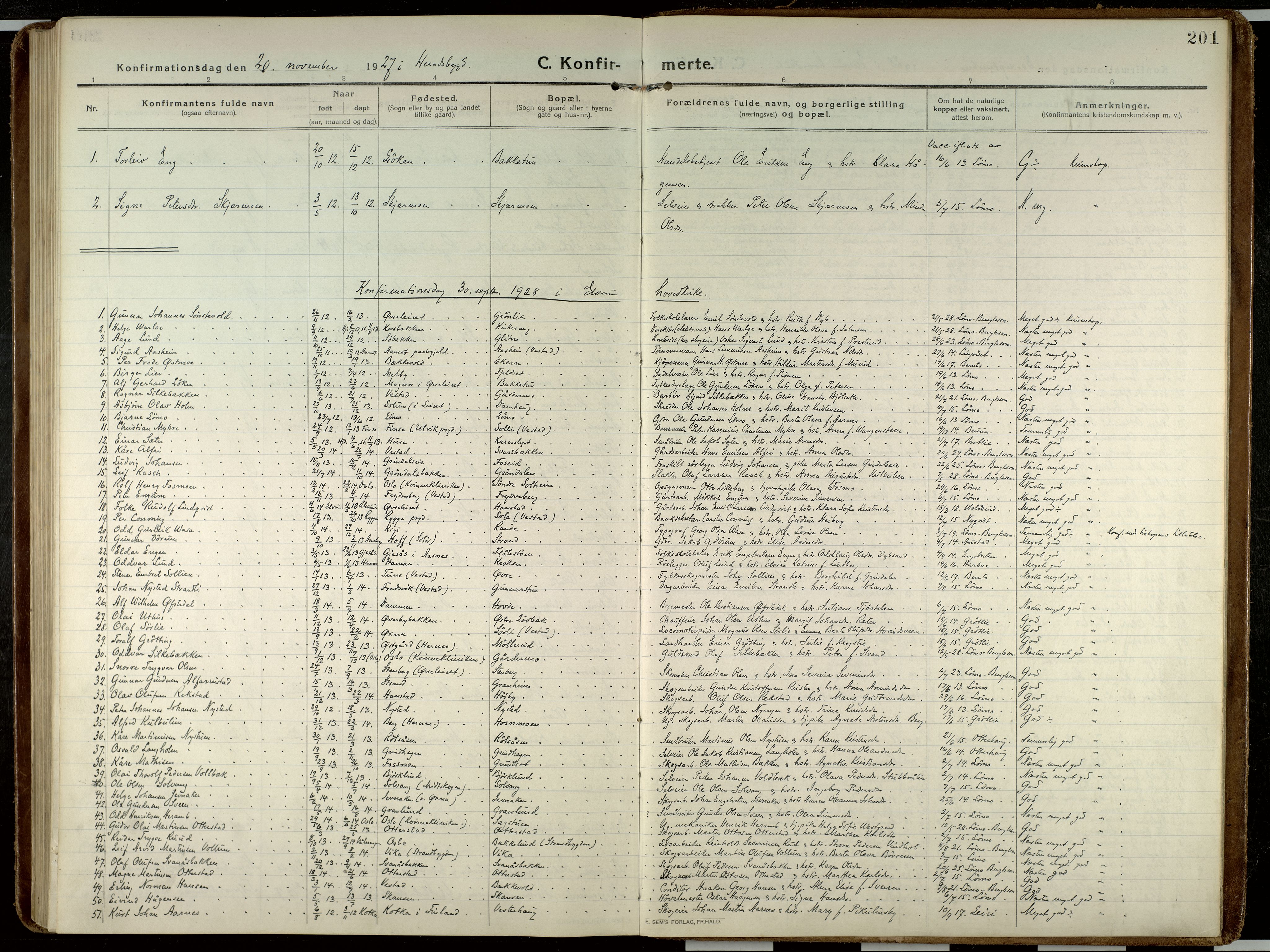 Elverum prestekontor, SAH/PREST-044/H/Ha/Haa/L0023: Parish register (official) no. 23, 1914-1929, p. 201