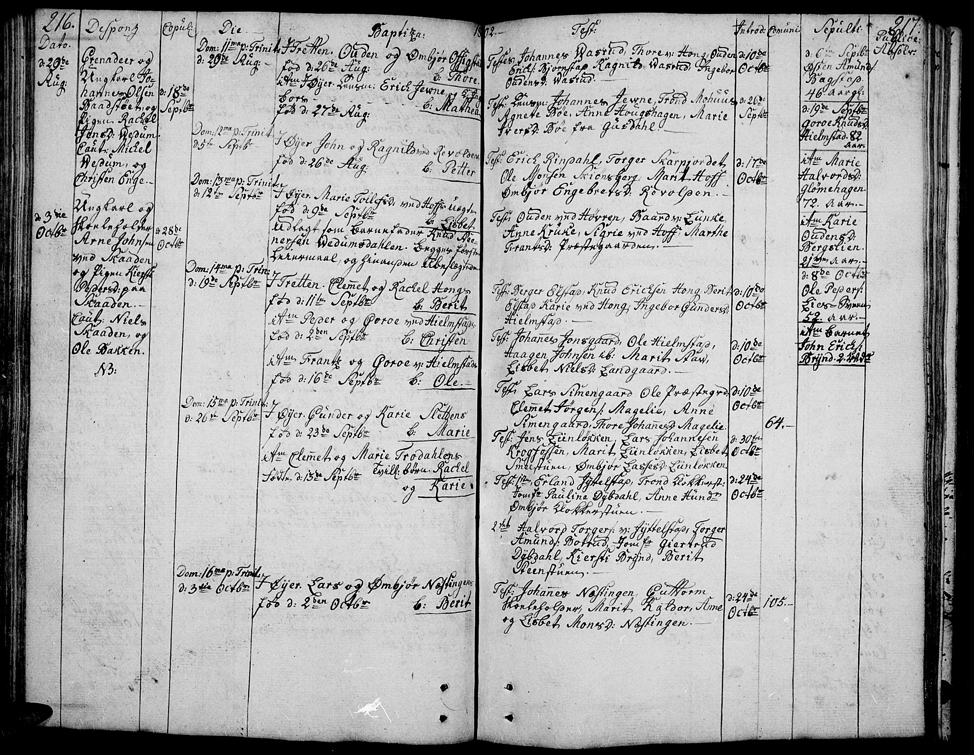 Øyer prestekontor, SAH/PREST-084/H/Ha/Haa/L0003: Parish register (official) no. 3, 1784-1824, p. 216-217