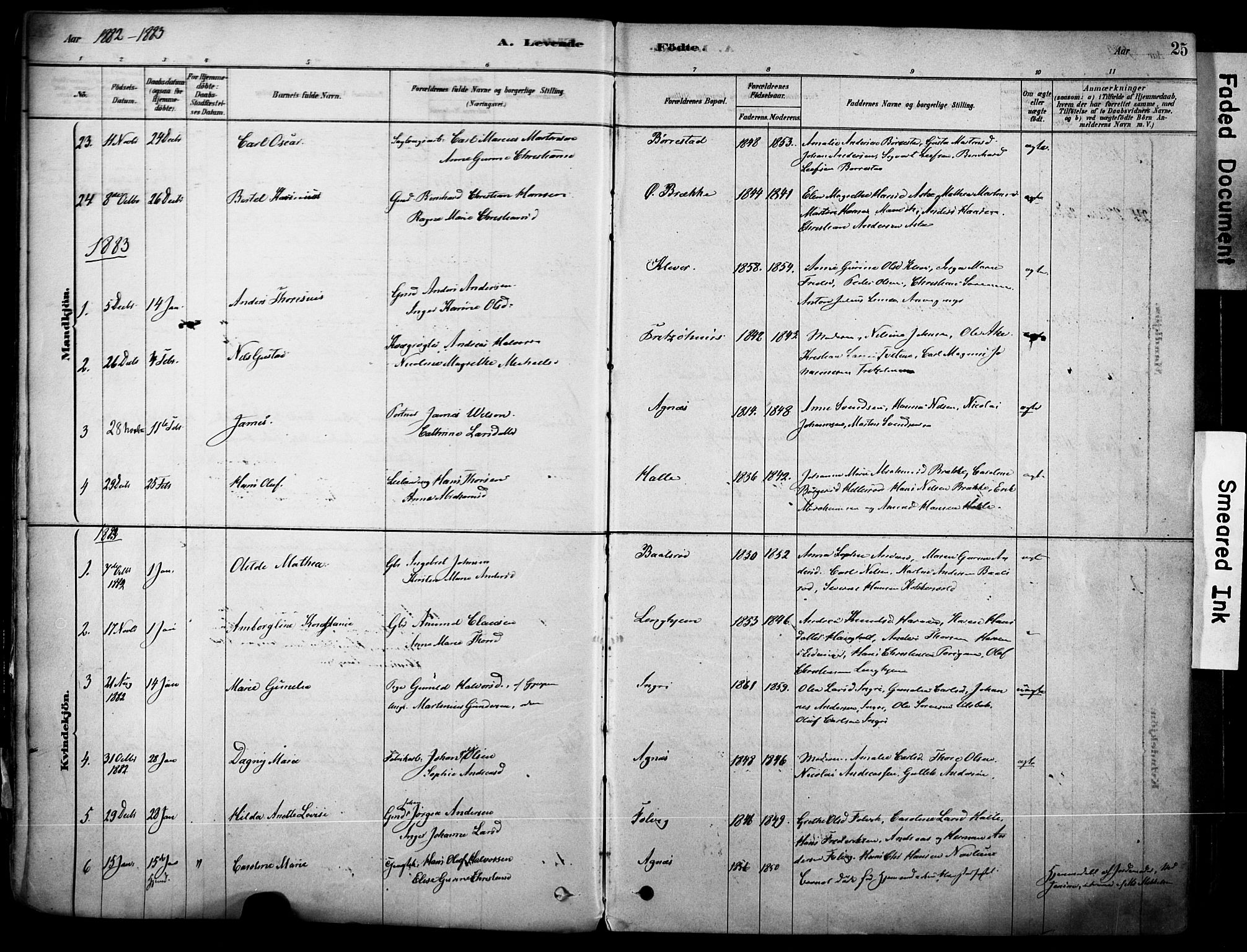 Brunlanes kirkebøker, AV/SAKO-A-342/F/Fc/L0001: Parish register (official) no. III 1, 1878-1899, p. 25