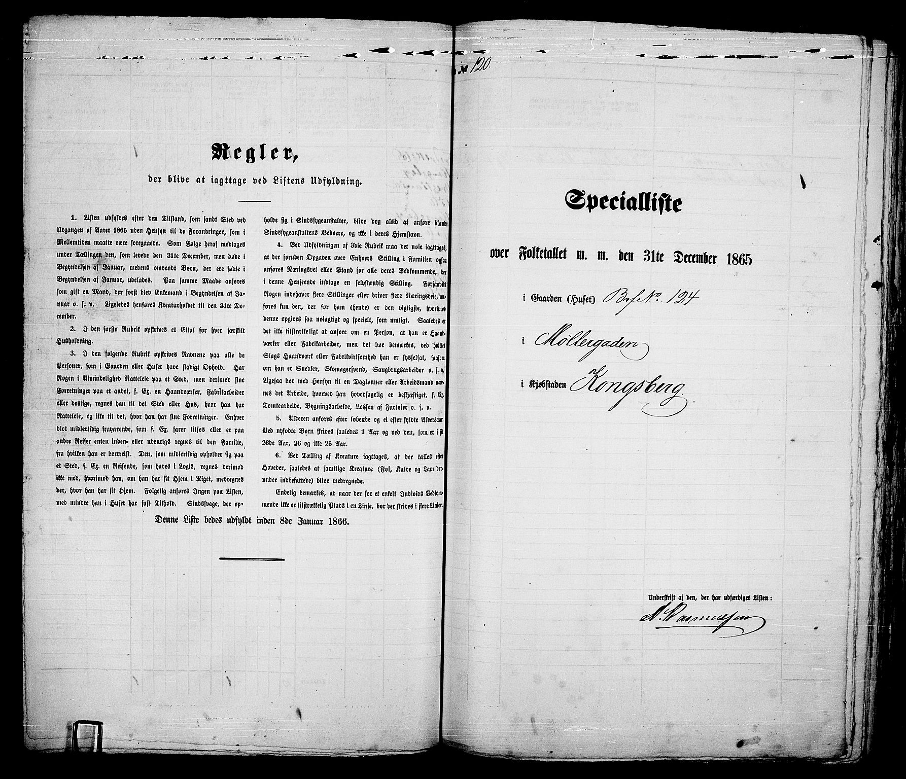 RA, 1865 census for Kongsberg/Kongsberg, 1865, p. 250