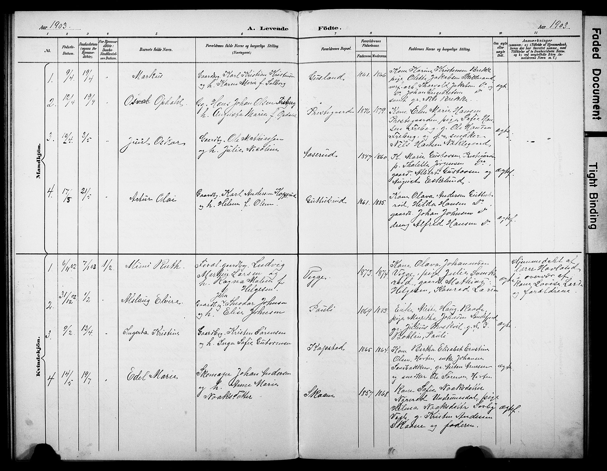 Borre kirkebøker, AV/SAKO-A-338/G/Gb/L0003: Parish register (copy) no. II 3, 1893-1905