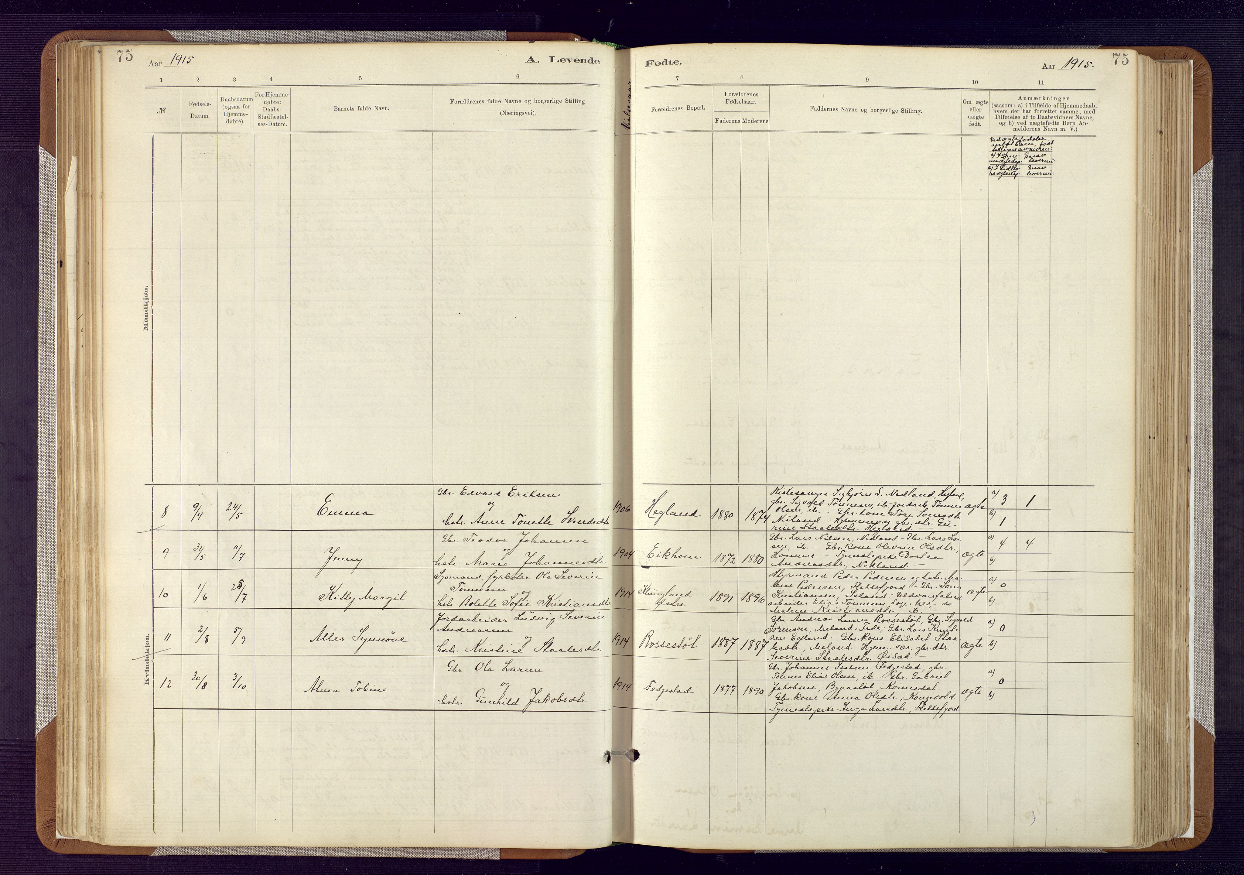 Bakke sokneprestkontor, AV/SAK-1111-0002/F/Fa/Fab/L0003: Parish register (official) no. A 3, 1884-1921, p. 75