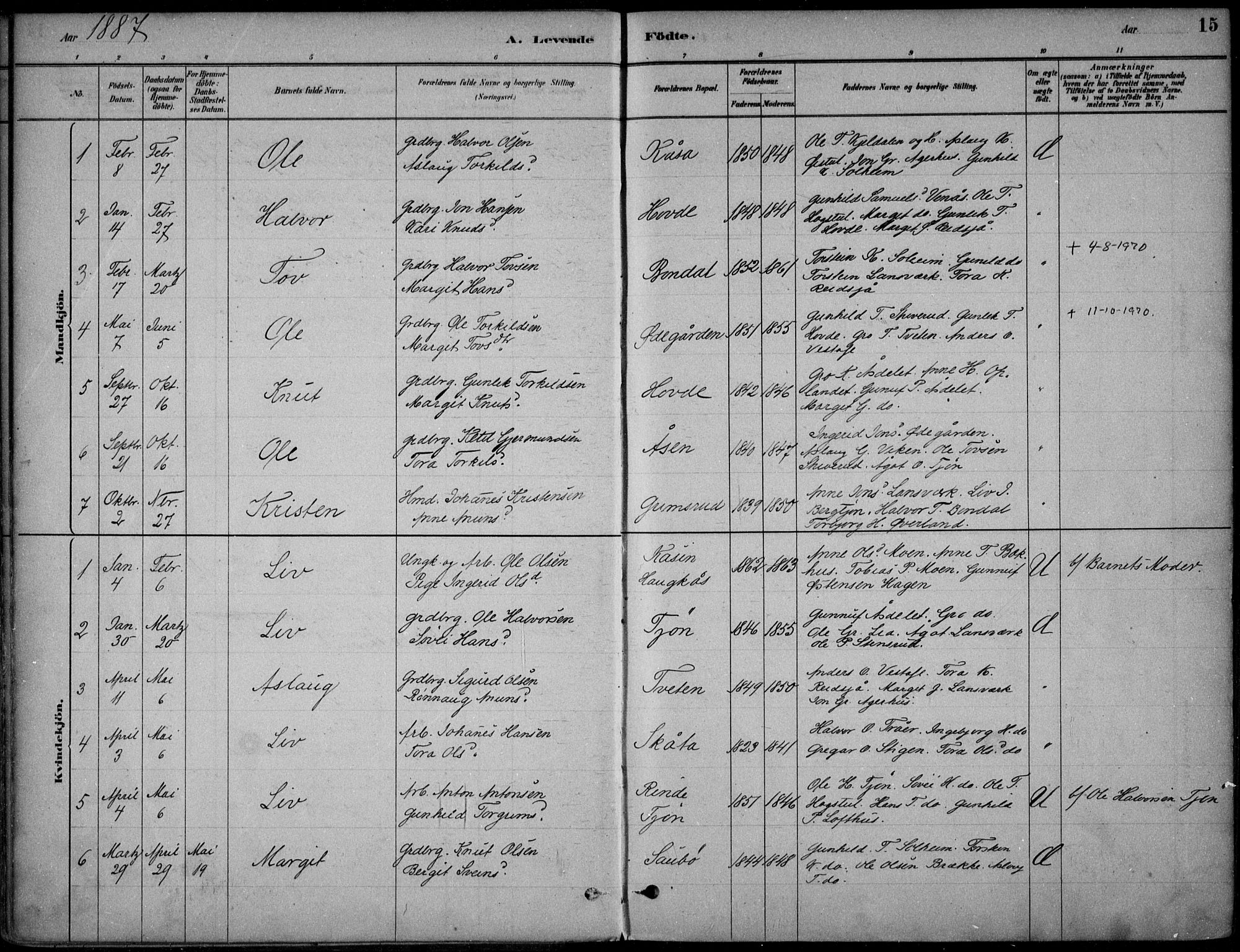 Hjartdal kirkebøker, SAKO/A-270/F/Fc/L0002: Parish register (official) no. III 2, 1880-1936, p. 15