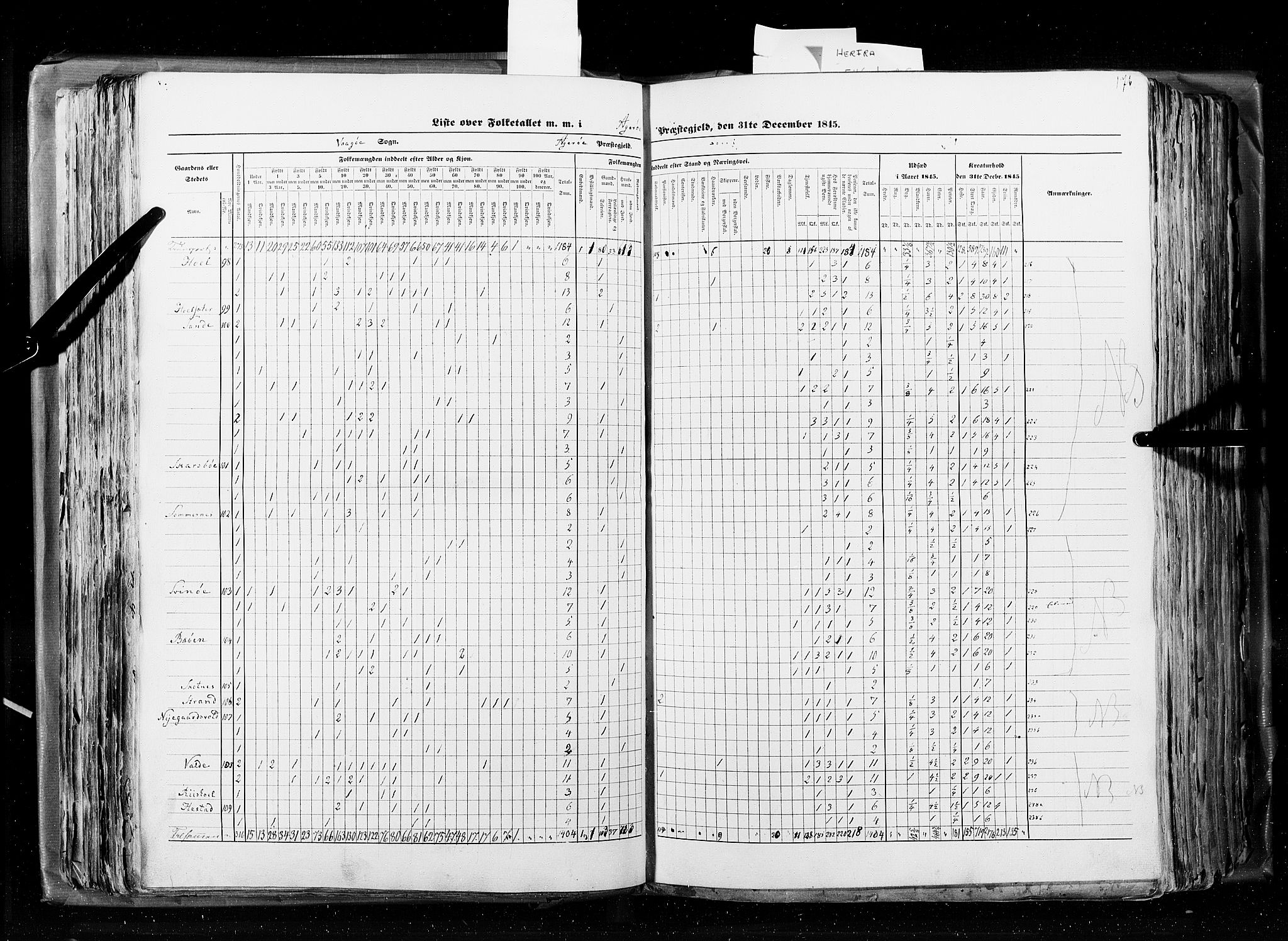 RA, Census 1845, vol. 8: Romsdal amt og Søndre Trondhjems amt, 1845, p. 176