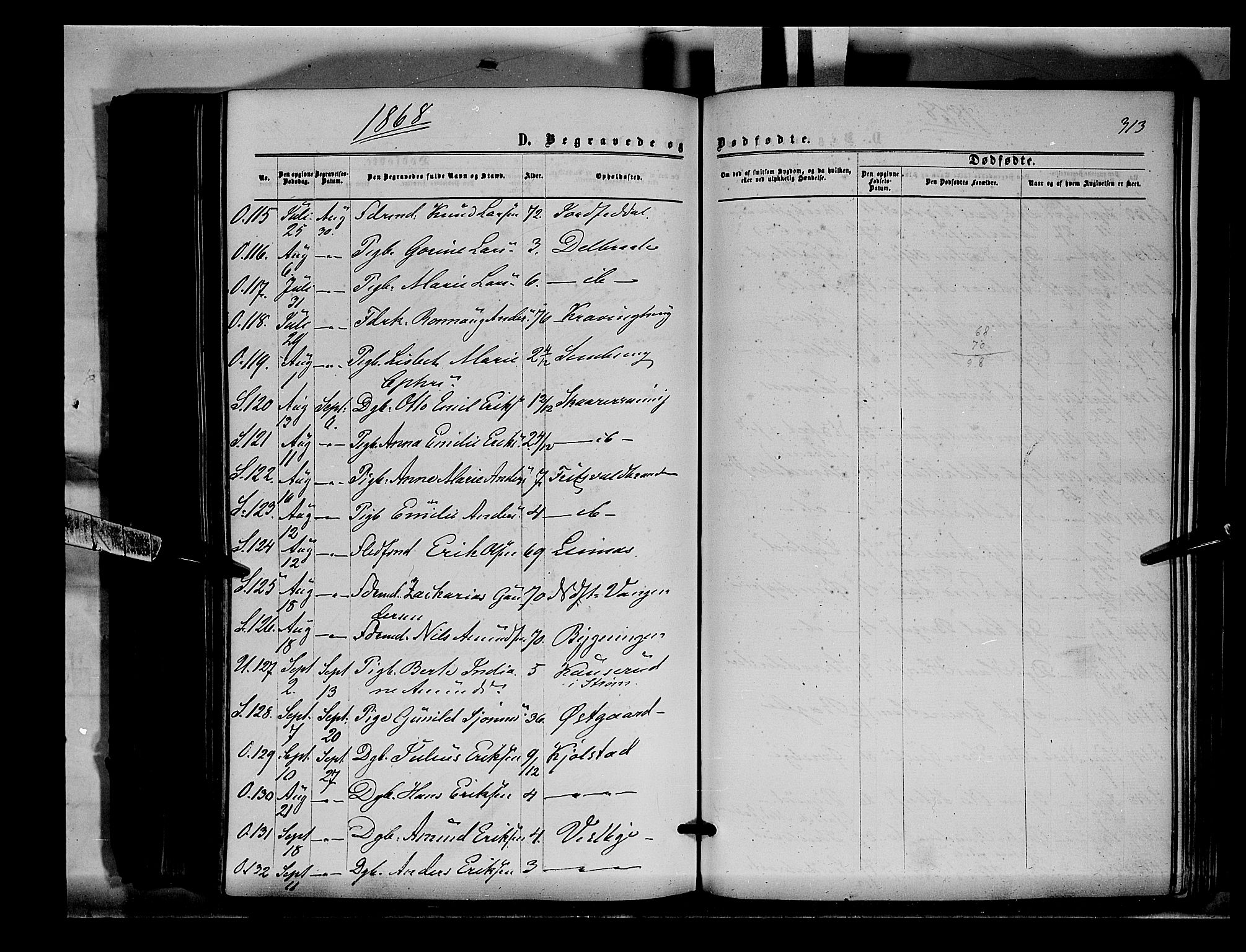 Sør-Odal prestekontor, AV/SAH-PREST-030/H/Ha/Haa/L0003: Parish register (official) no. 3, 1864-1870, p. 313